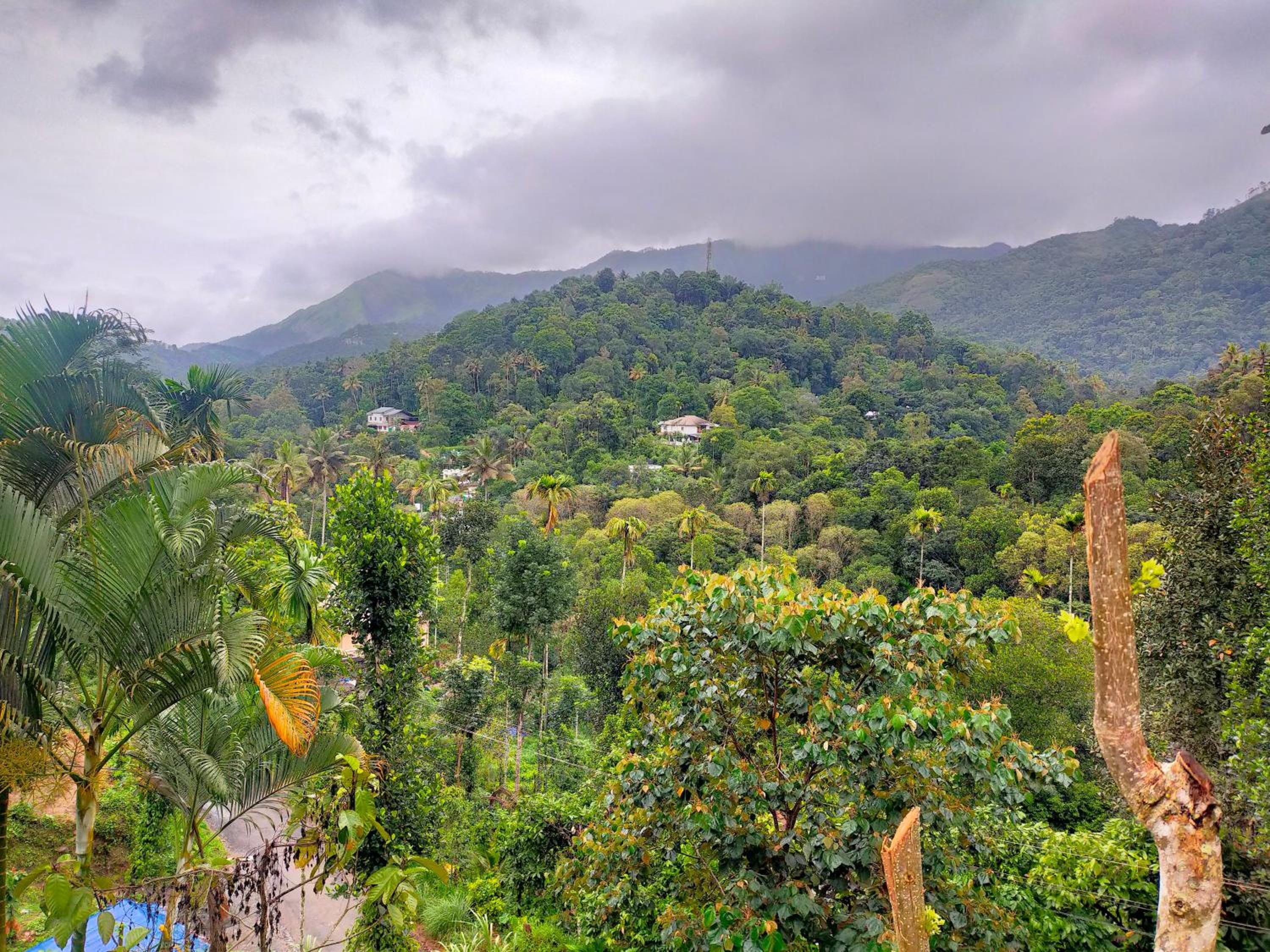 Anivilla Holiday Home Kunjithanny
