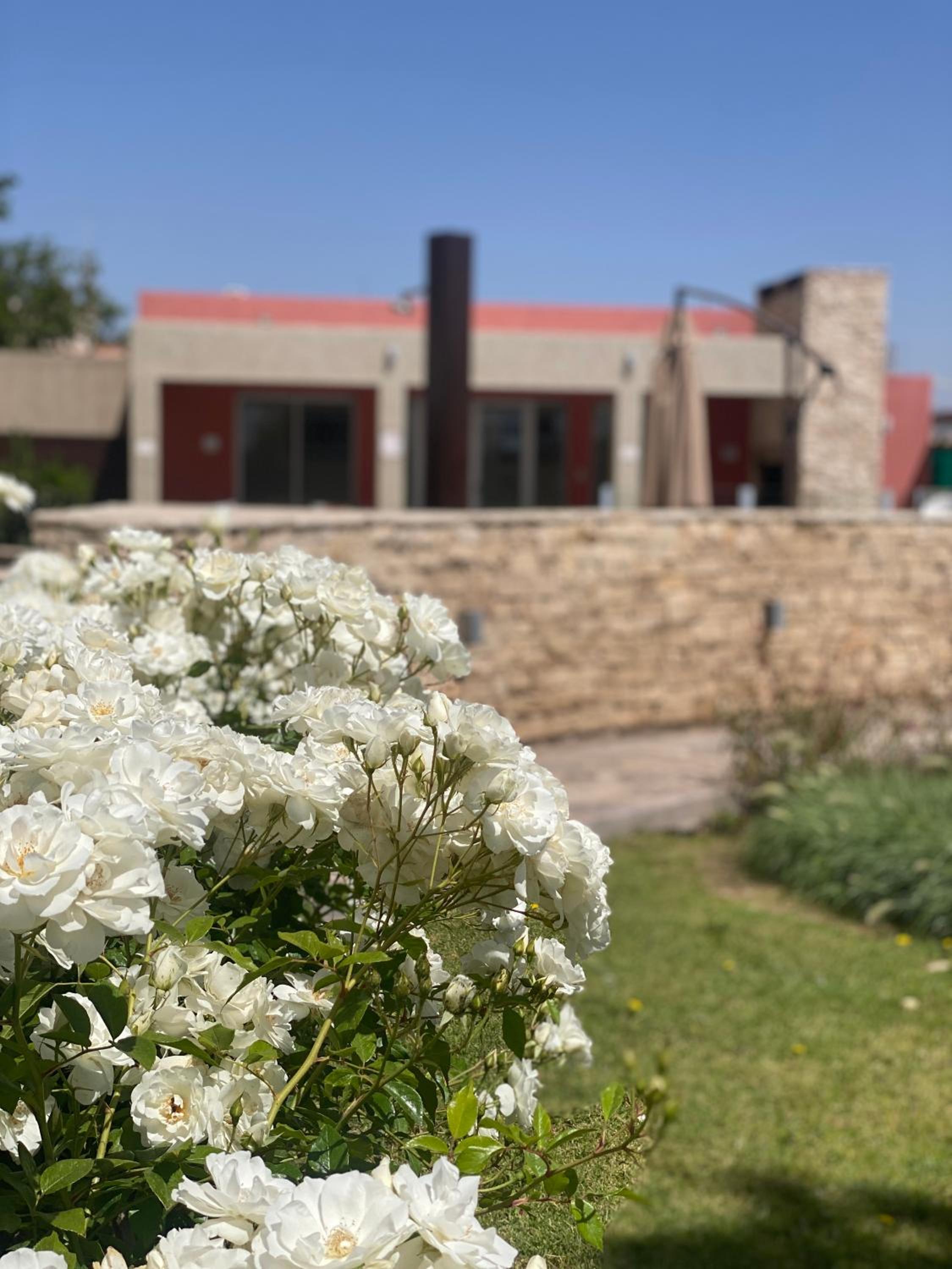 Malbec San Juan Consorcio San Rafael