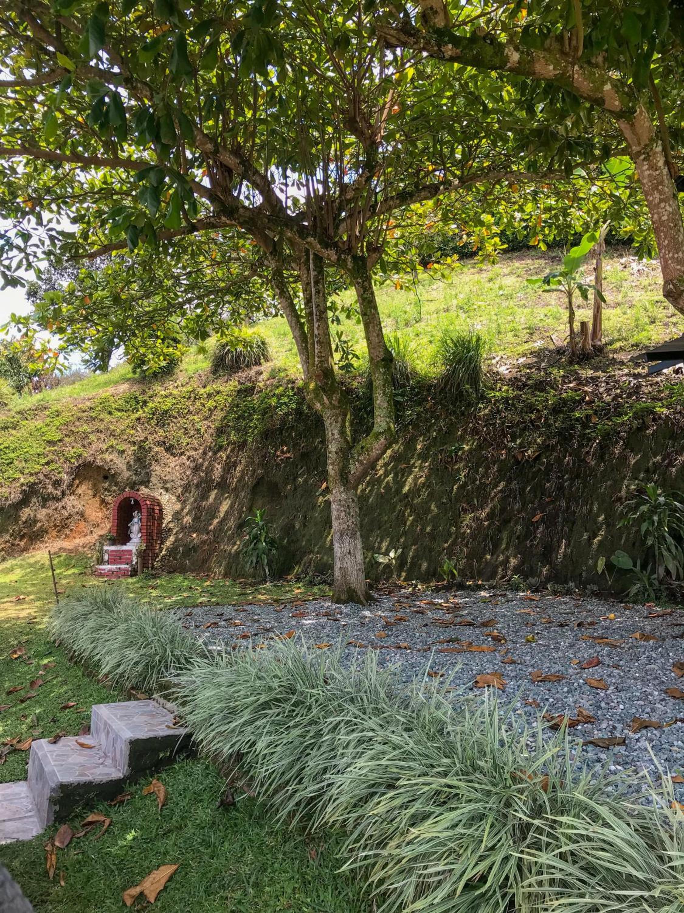 Alquiler Finca El Jazmin