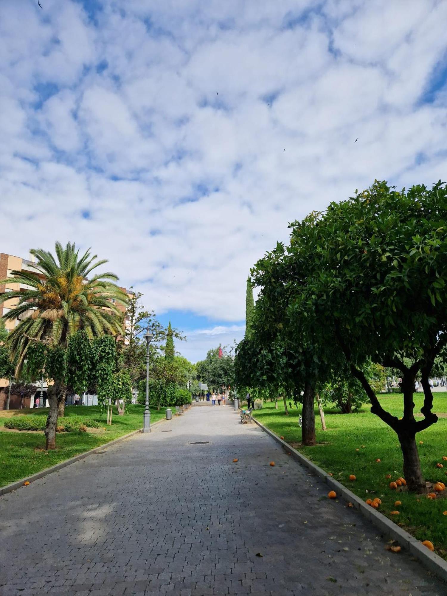 Salusahome parking gratuito