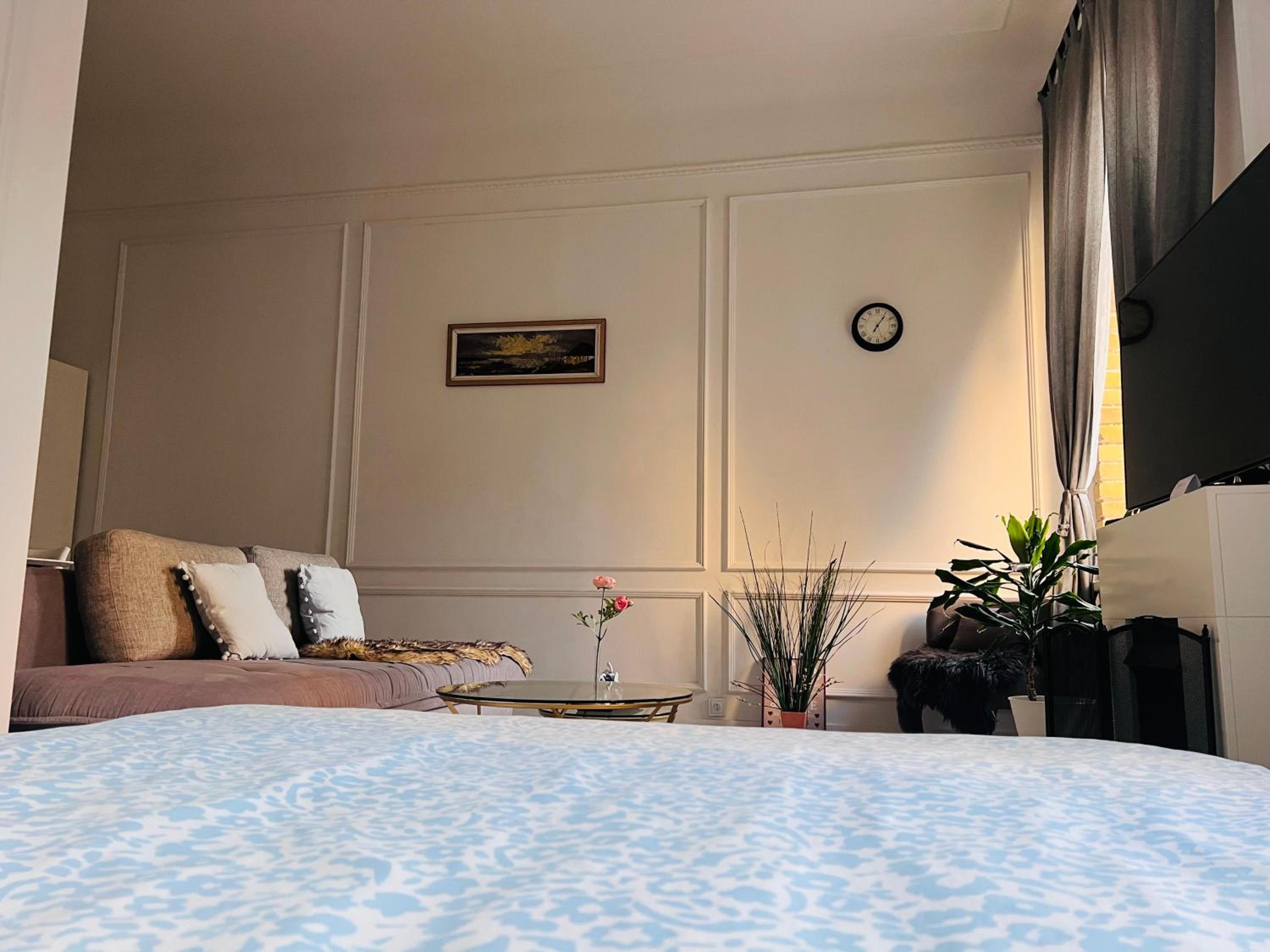 Cozy apartment