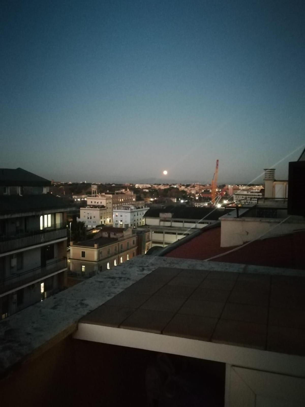 roof