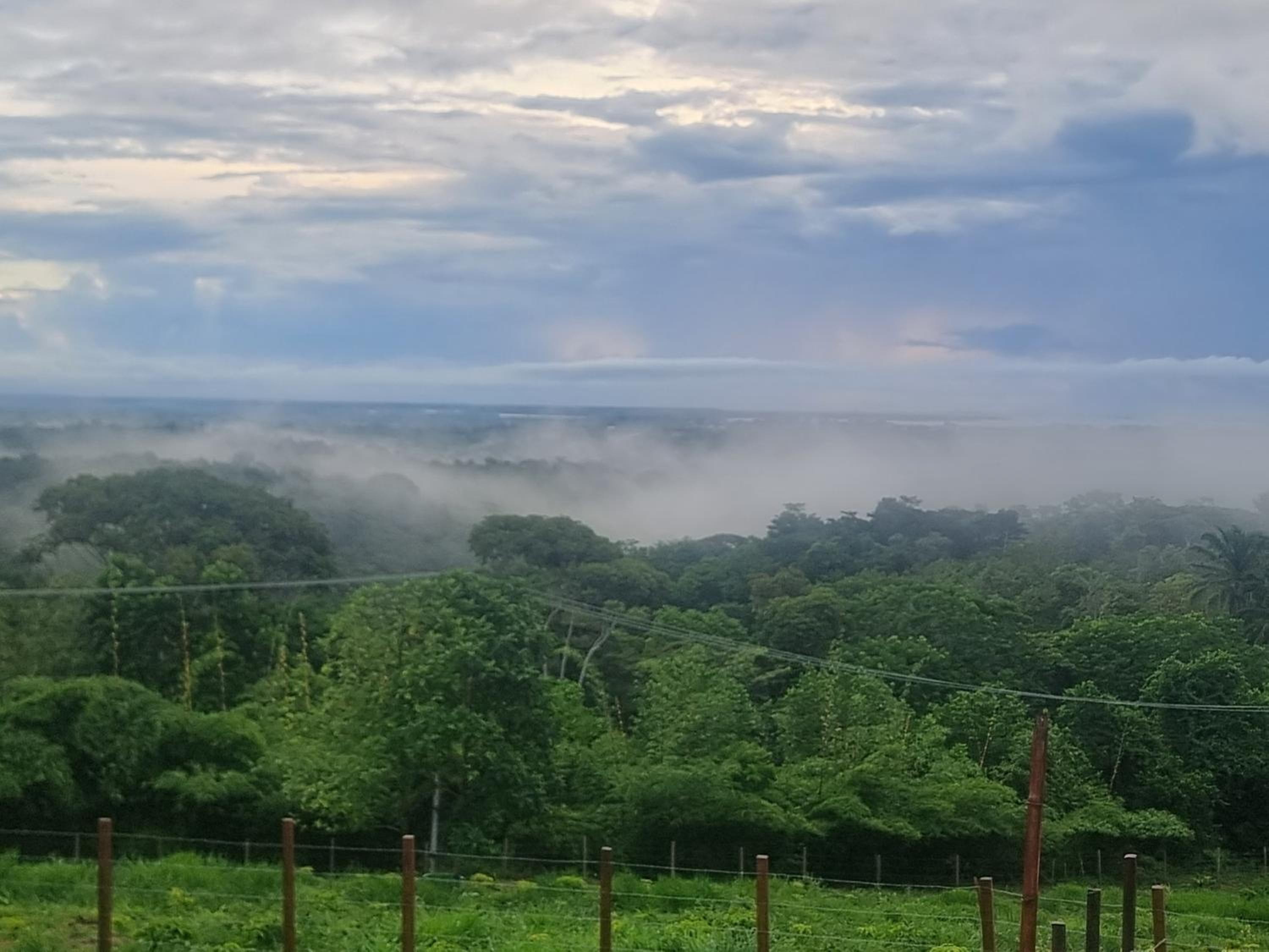Fazenda de Jehne