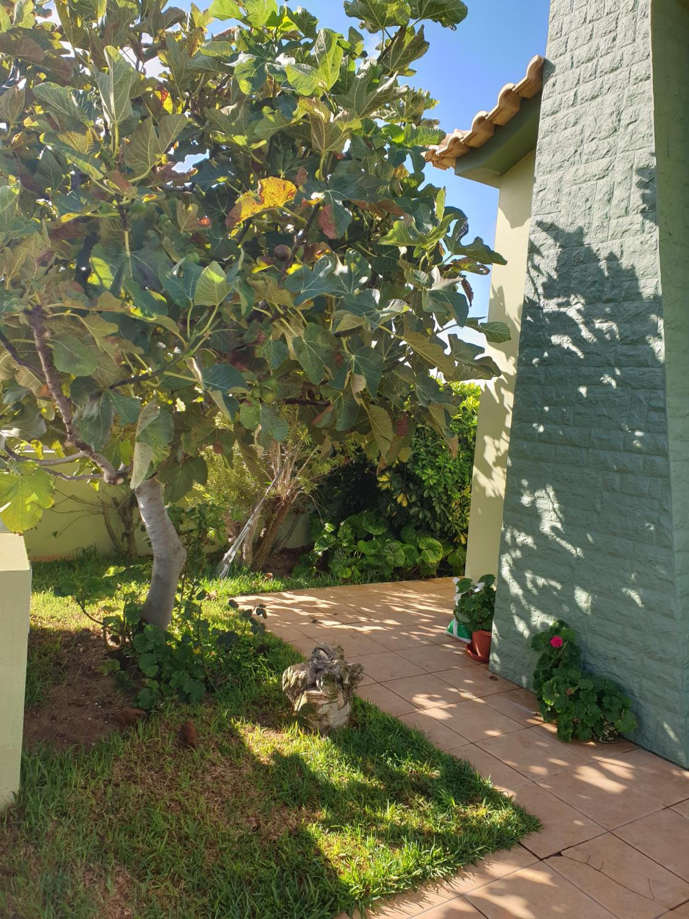 Porto Santo Vacations - Casa da Lena - Property Image 8