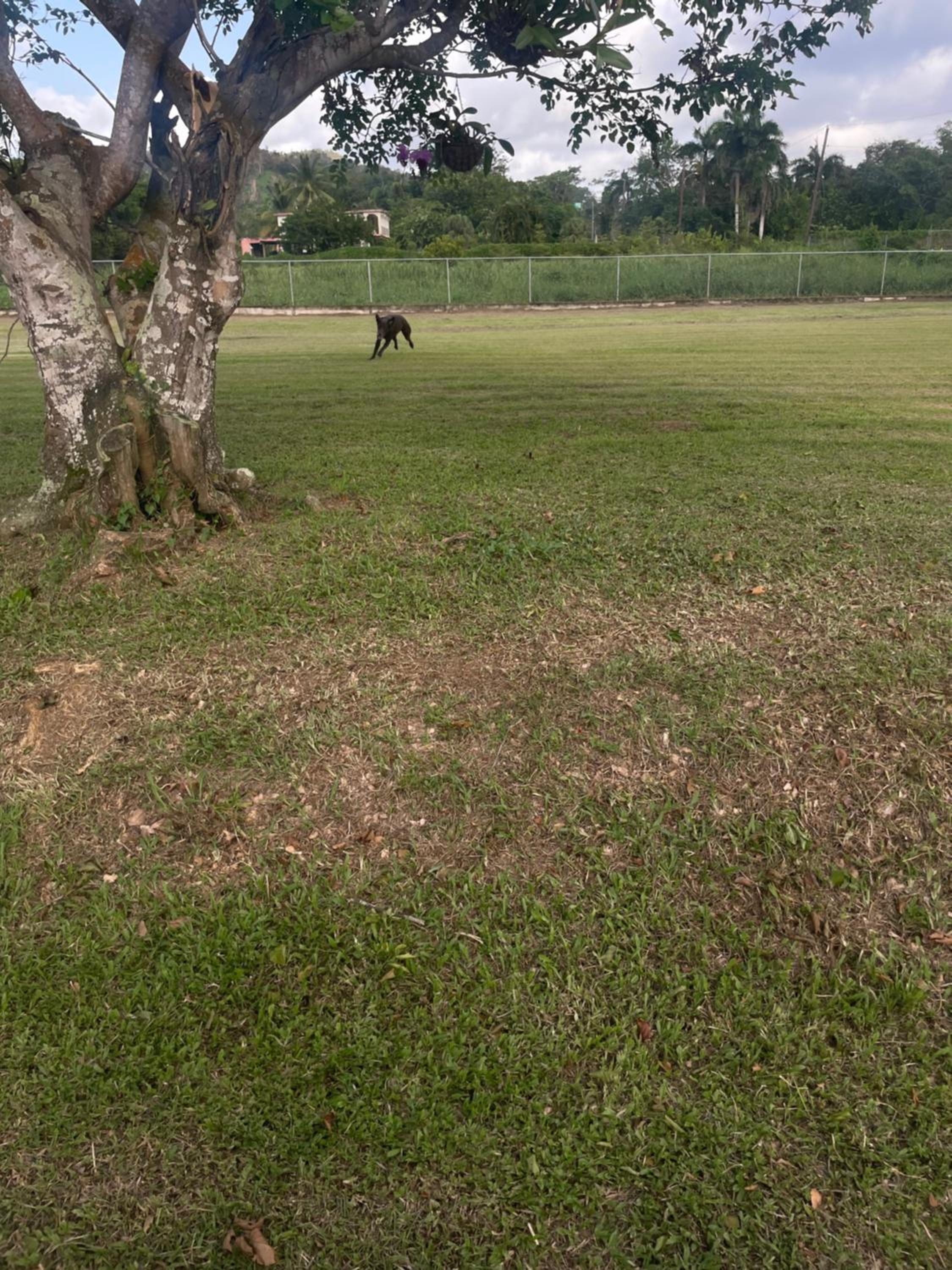 Hogar Bello Sitio 1 view 4