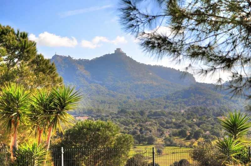 Finca Puig des Call 