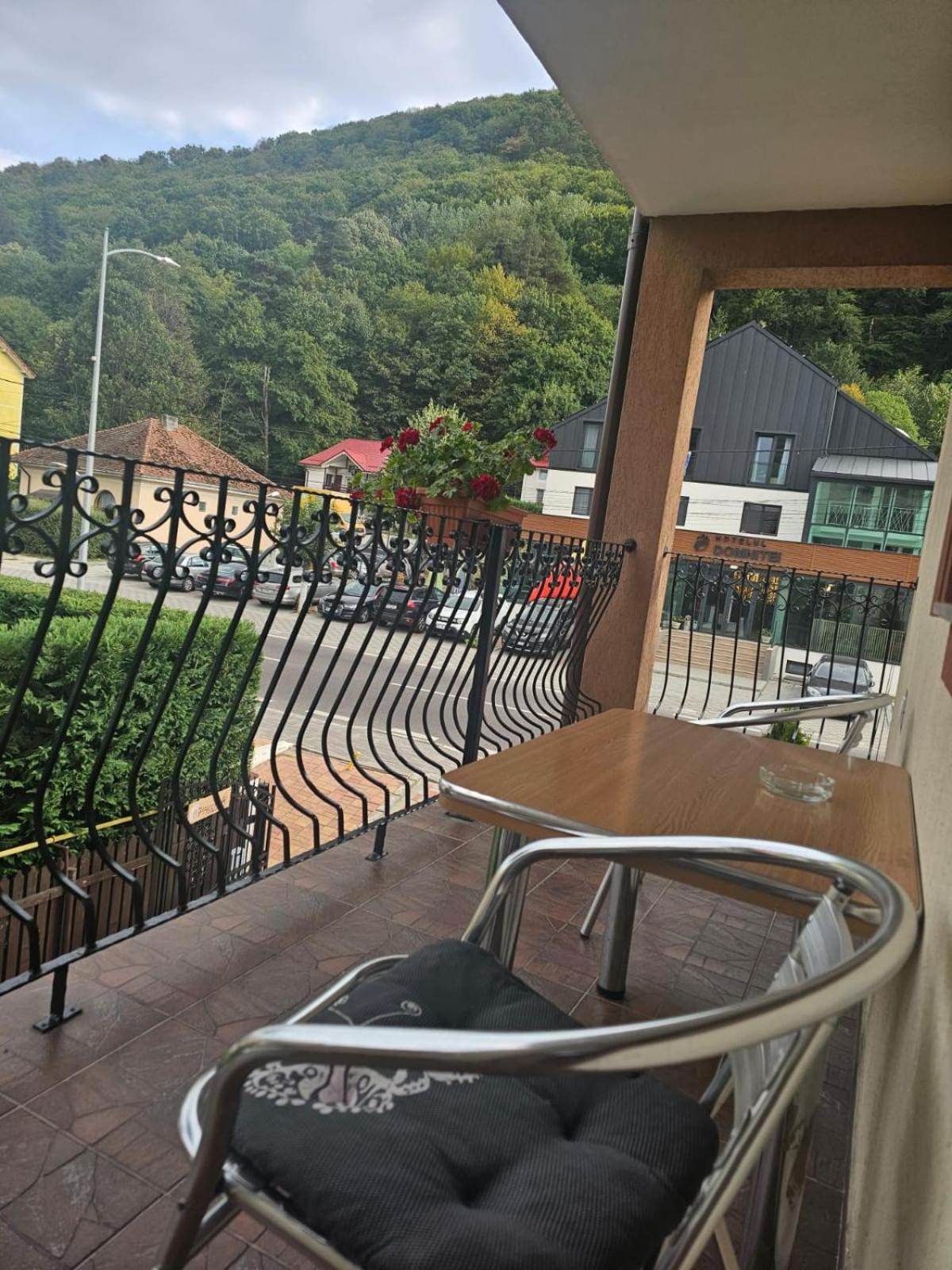 Casa Vladeasa view 4