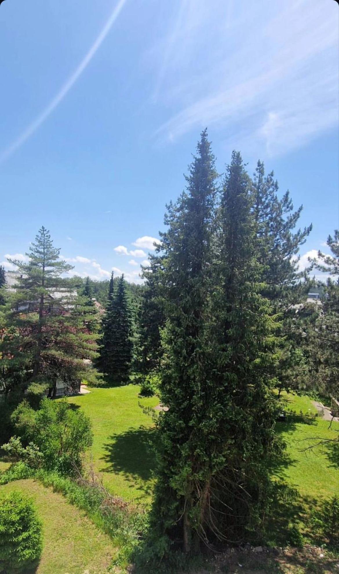 Apartman Binis