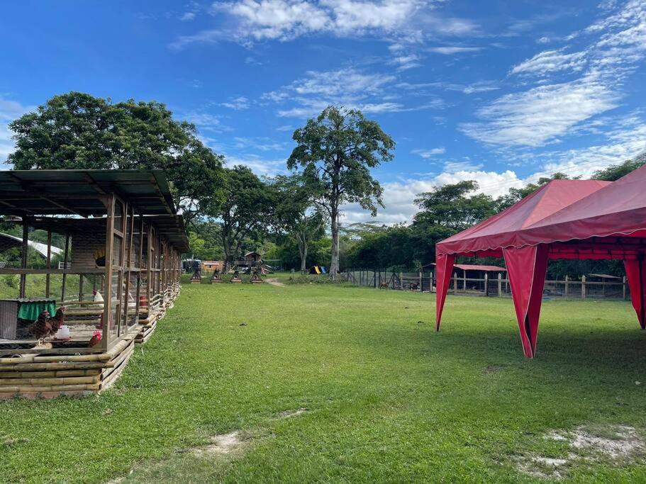 Cabaña campestre en la ciudad