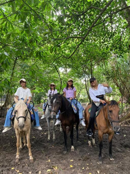 Cabaña campestre en la ciudad