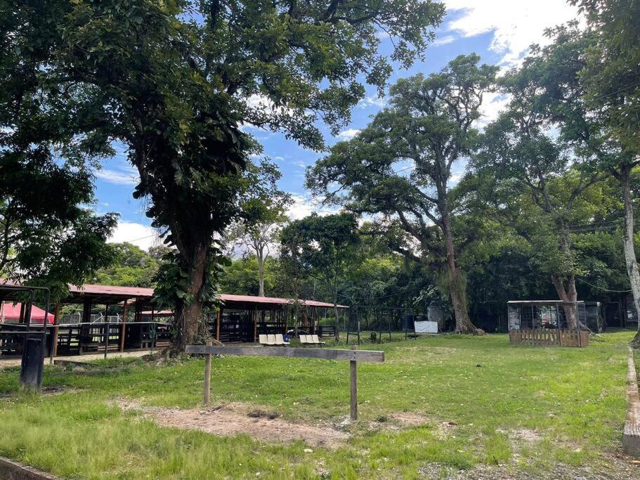Cabaña campestre en la ciudad