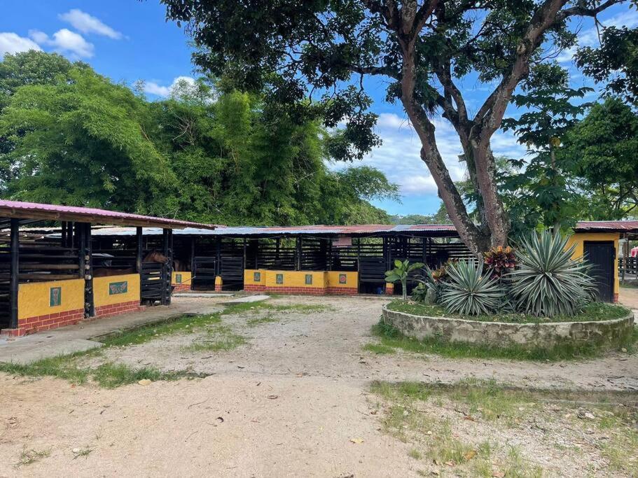 Cabaña campestre en la ciudad