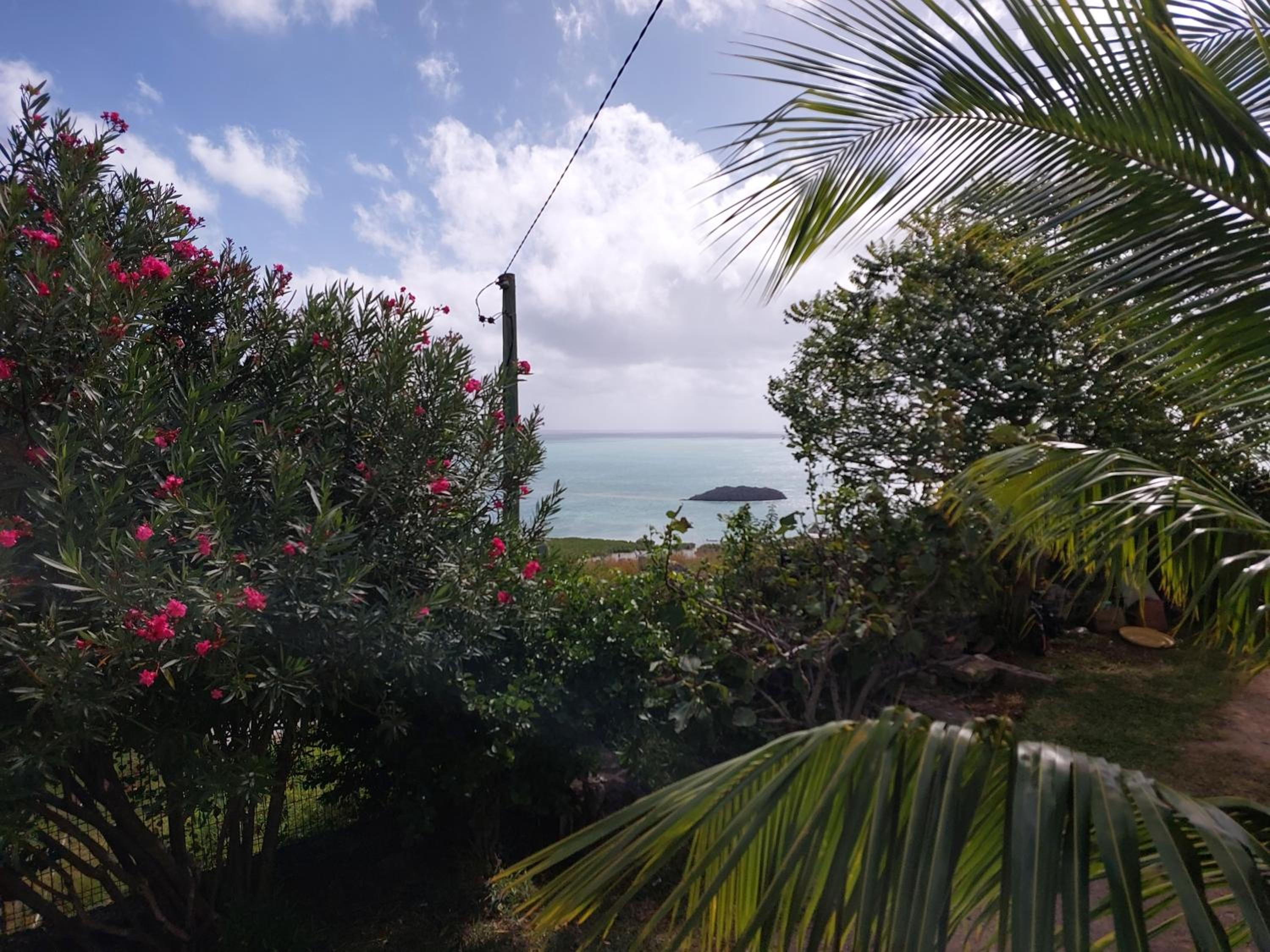 Oceanview Studio Allée Tamarin