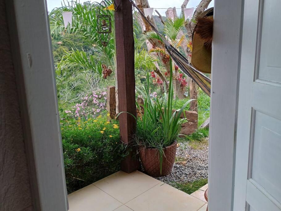 Casa Verde