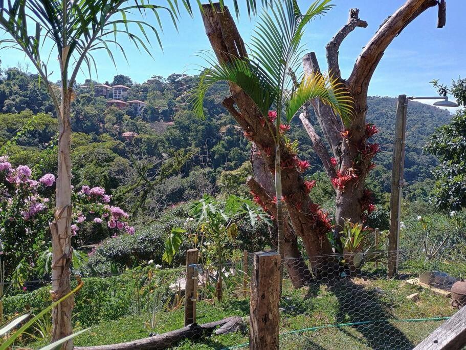 Casa Verde