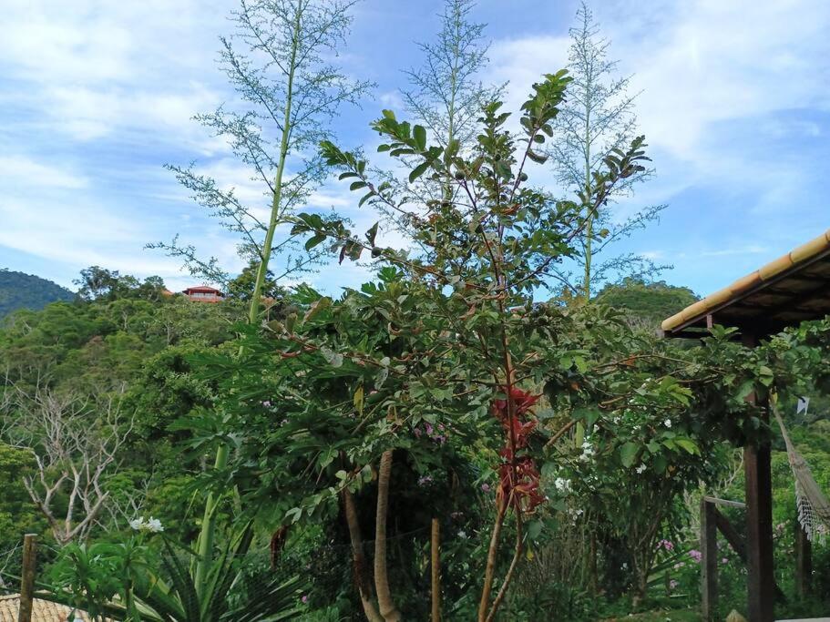 Casa Verde