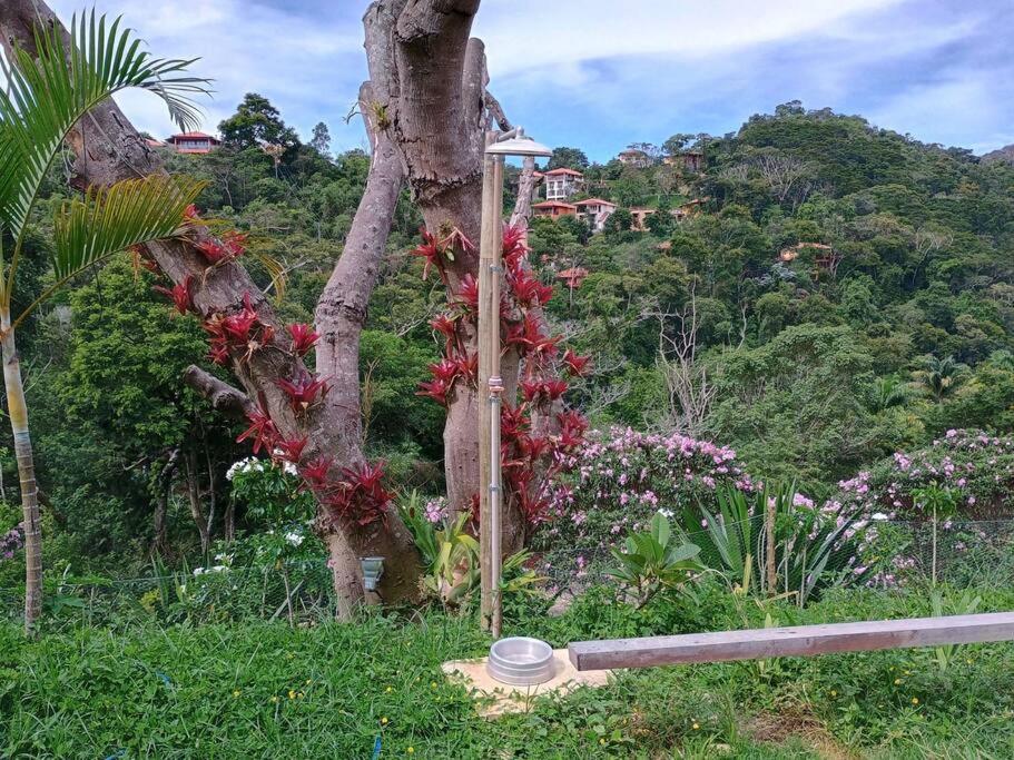 Casa Verde