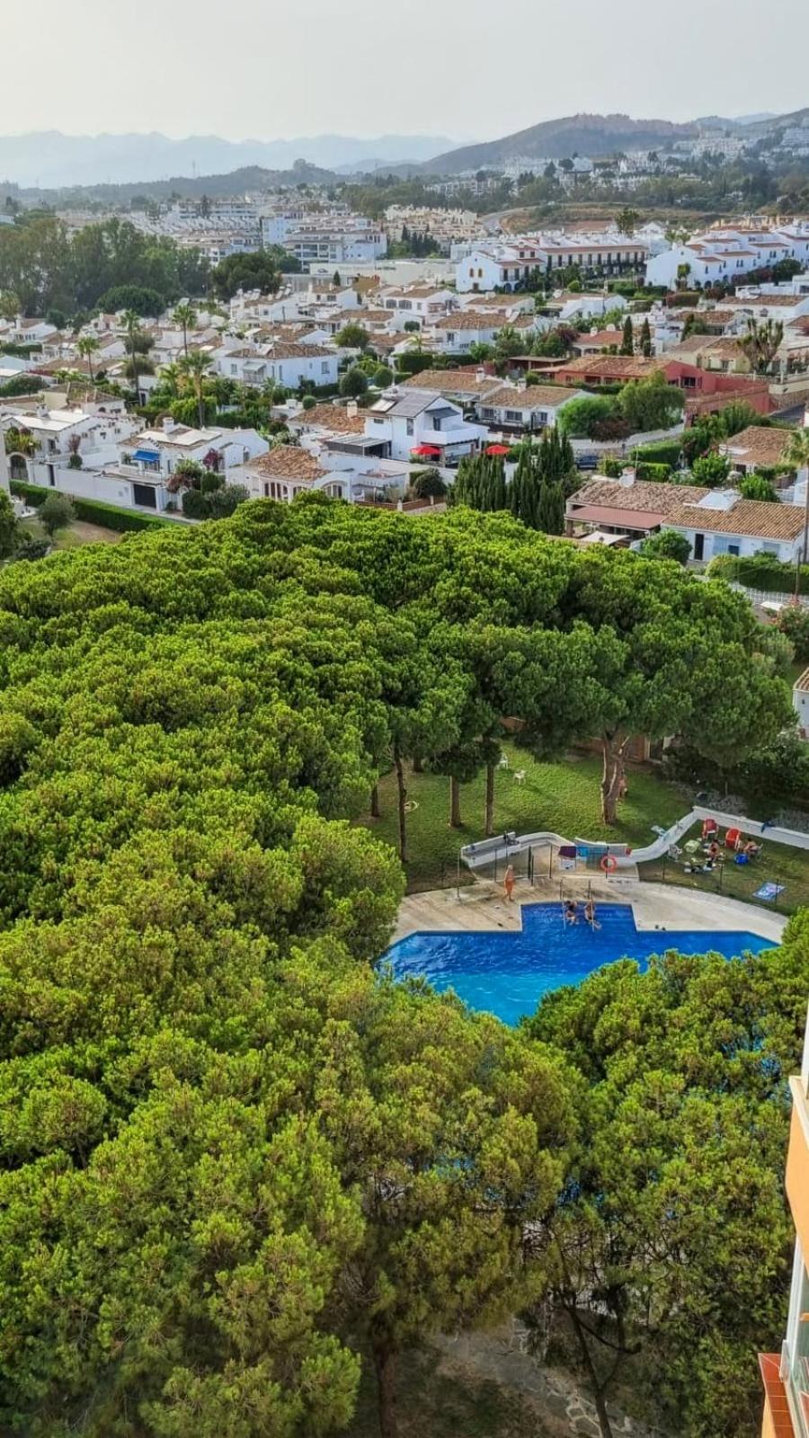 Calahonda Seeview Studio