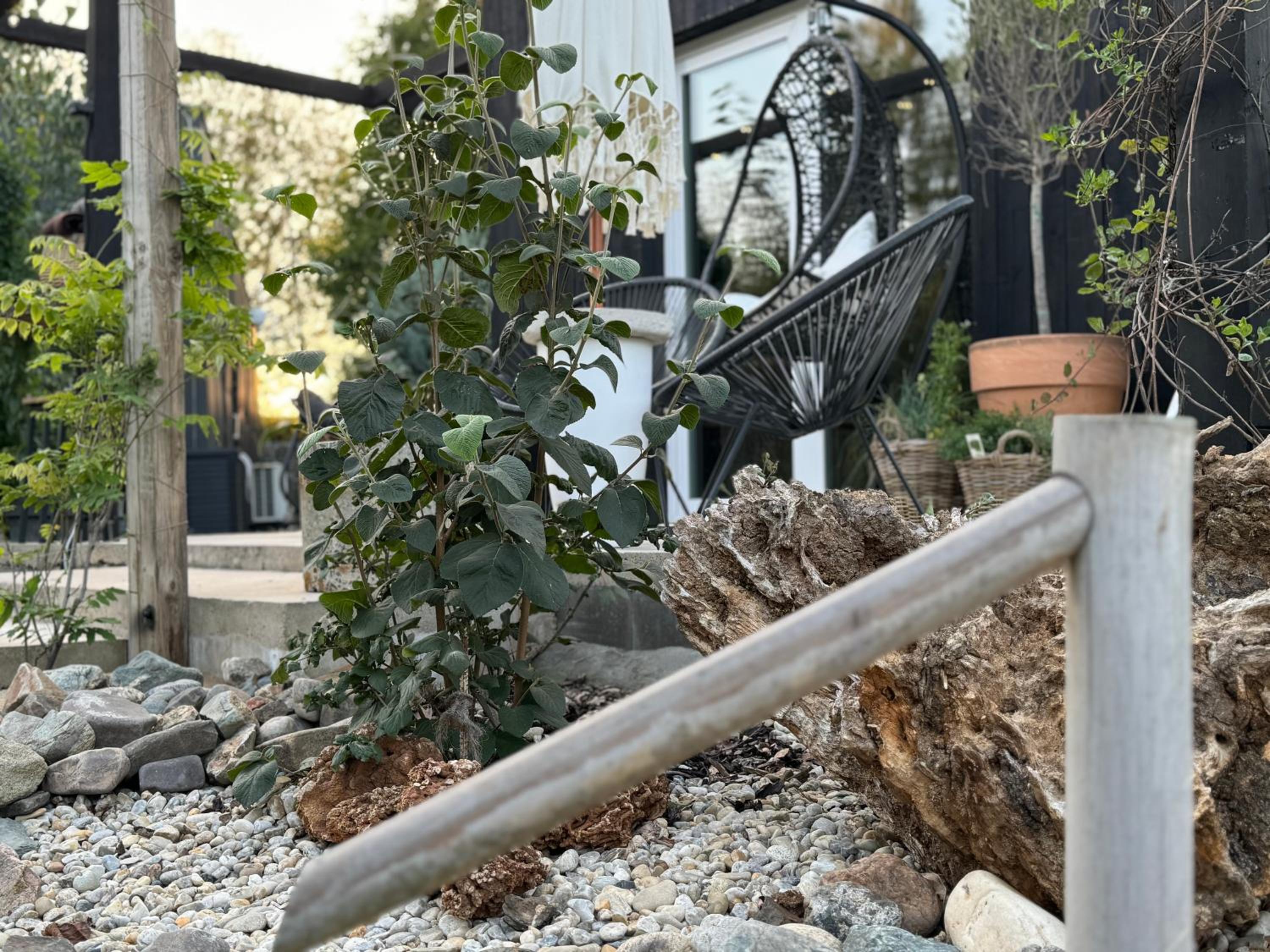 Garden Residence - The Nest