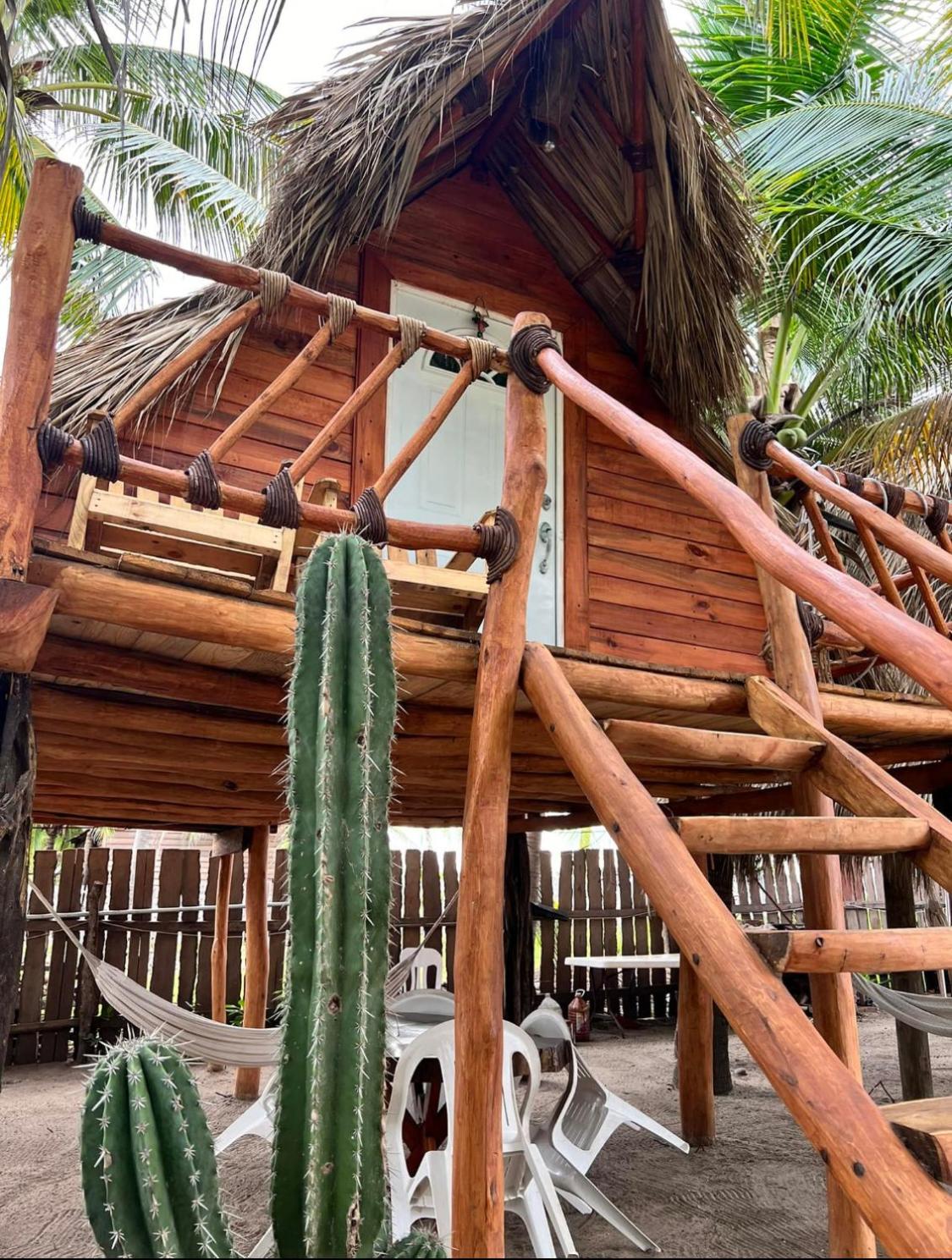 Casa Lians