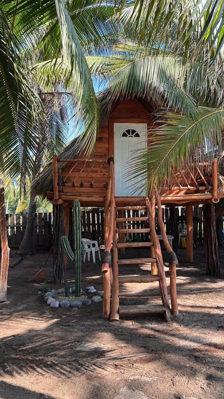 Casa Lians
