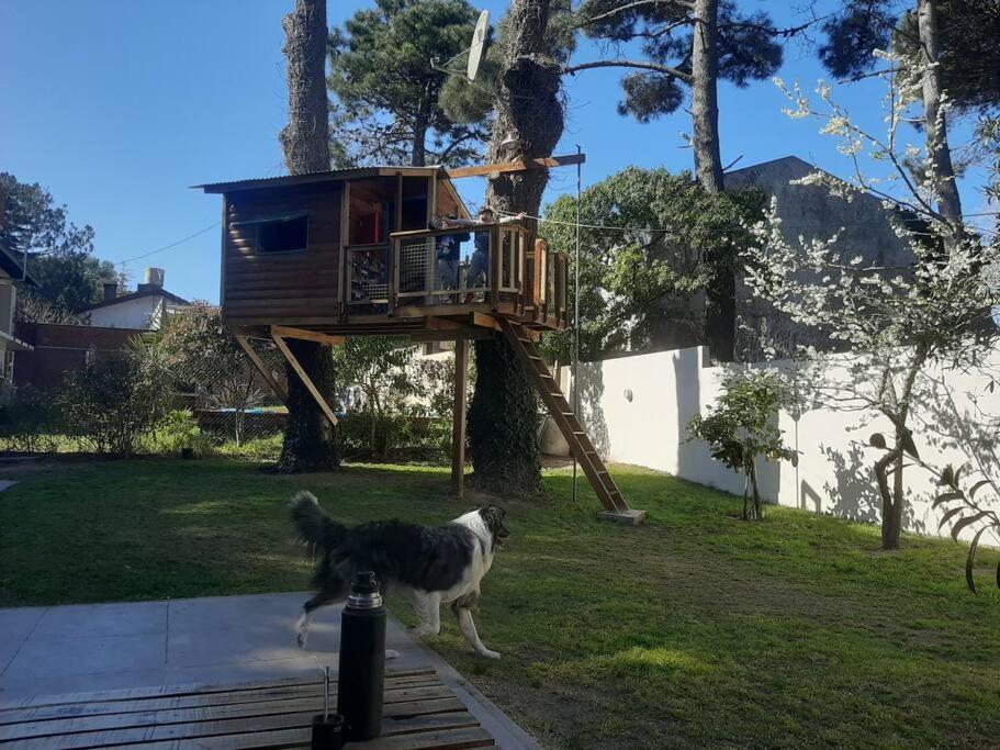 Casa Feliciano en Villa Gesell - Solo familias