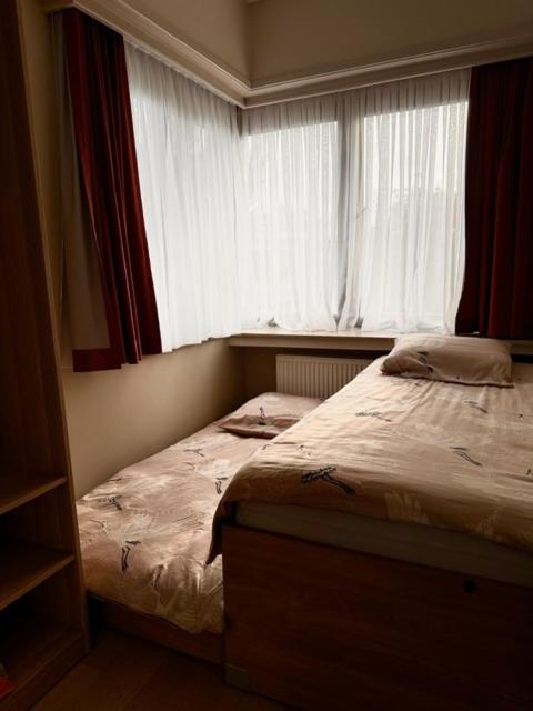 Charmante appartement in Wilrijk