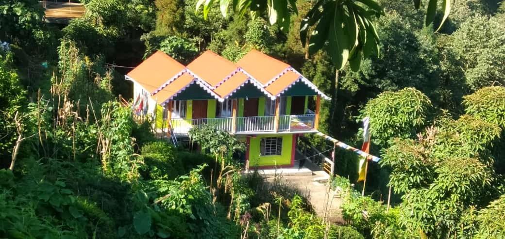 Springfeel Homestay