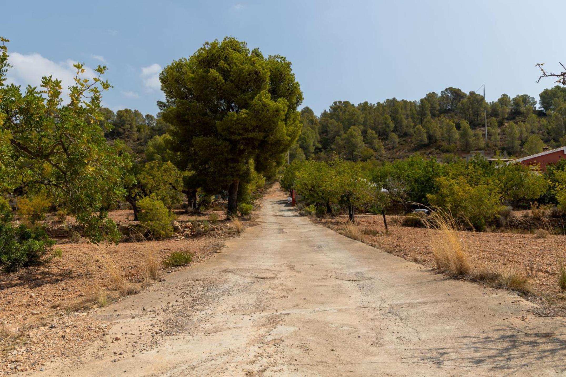 Finca El Escondite