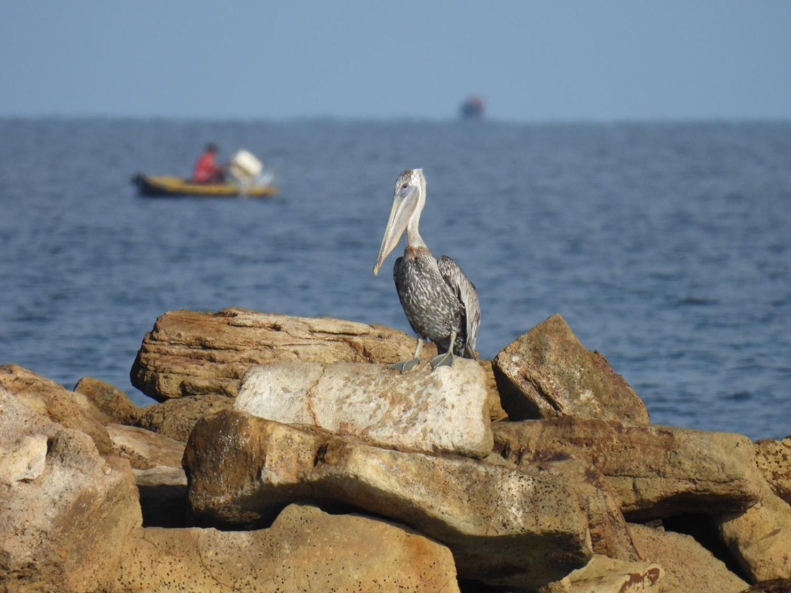 SiÉ Cabaña en Coveñas cerca a la playa
