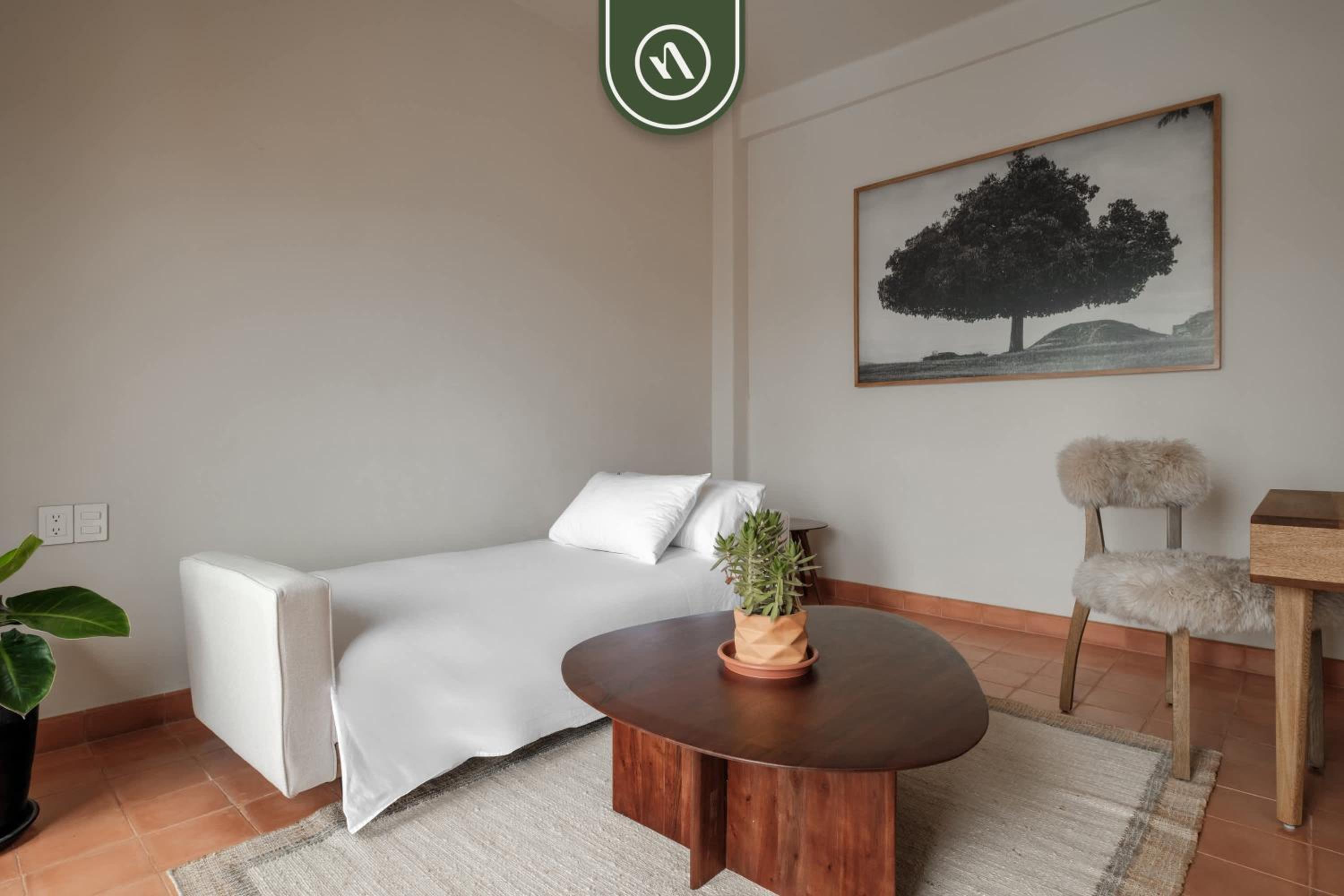 Centric 3BR Condo in Downtown in Oaxaca
