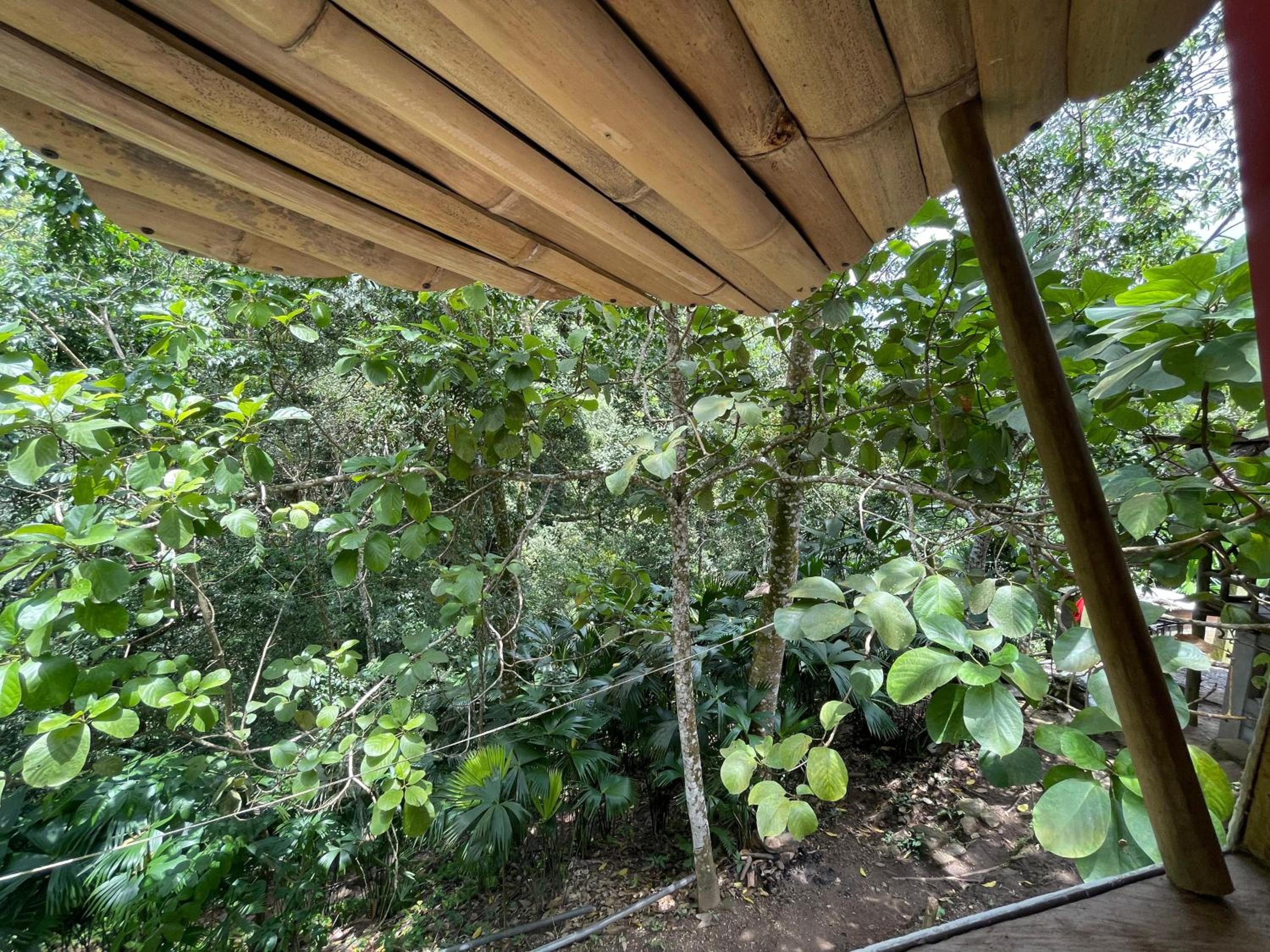 Cascada escondida glamping