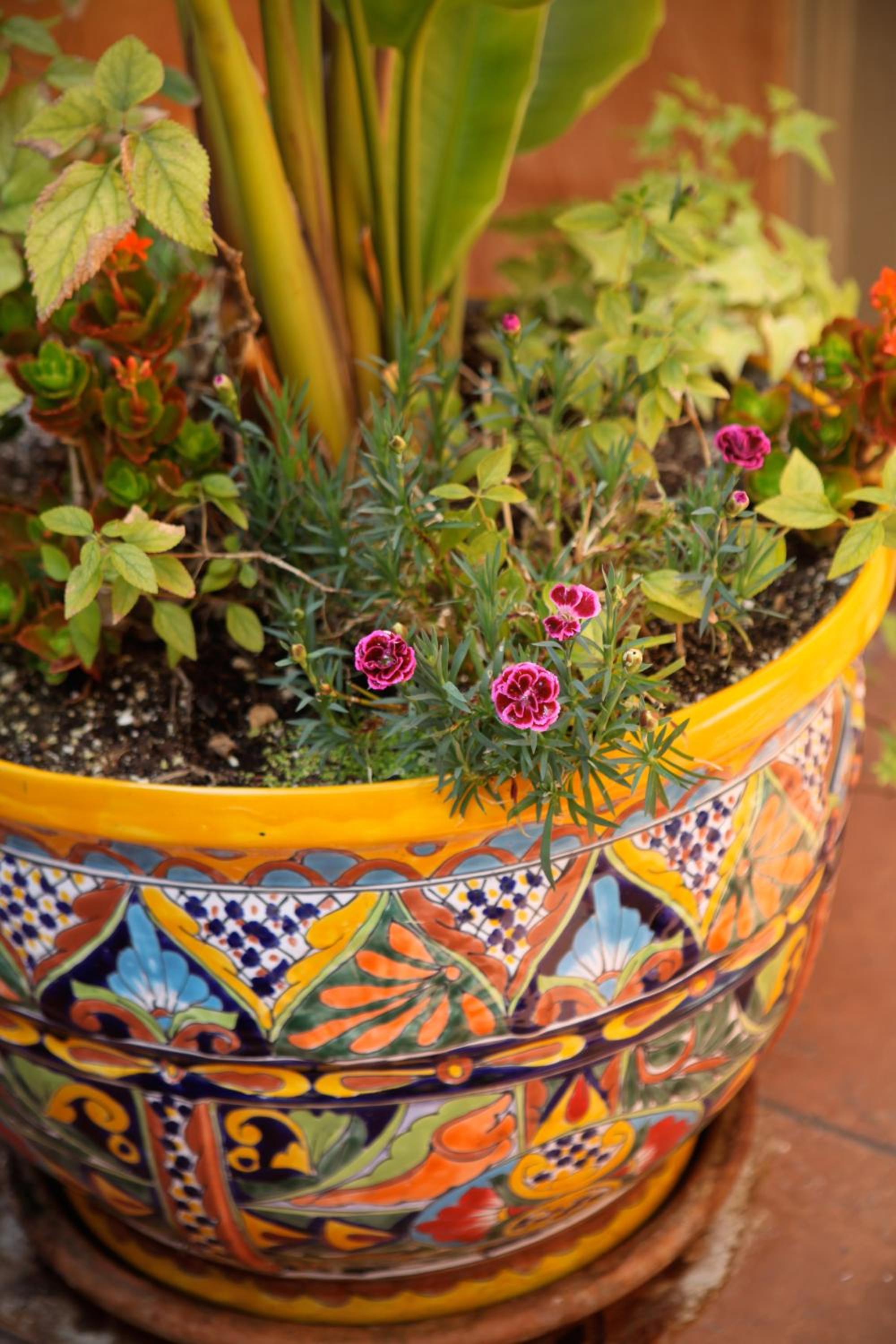 Half Moon Bay Vacations - Half Moon Bay Inn - Main Street Downtown - Property Image 7