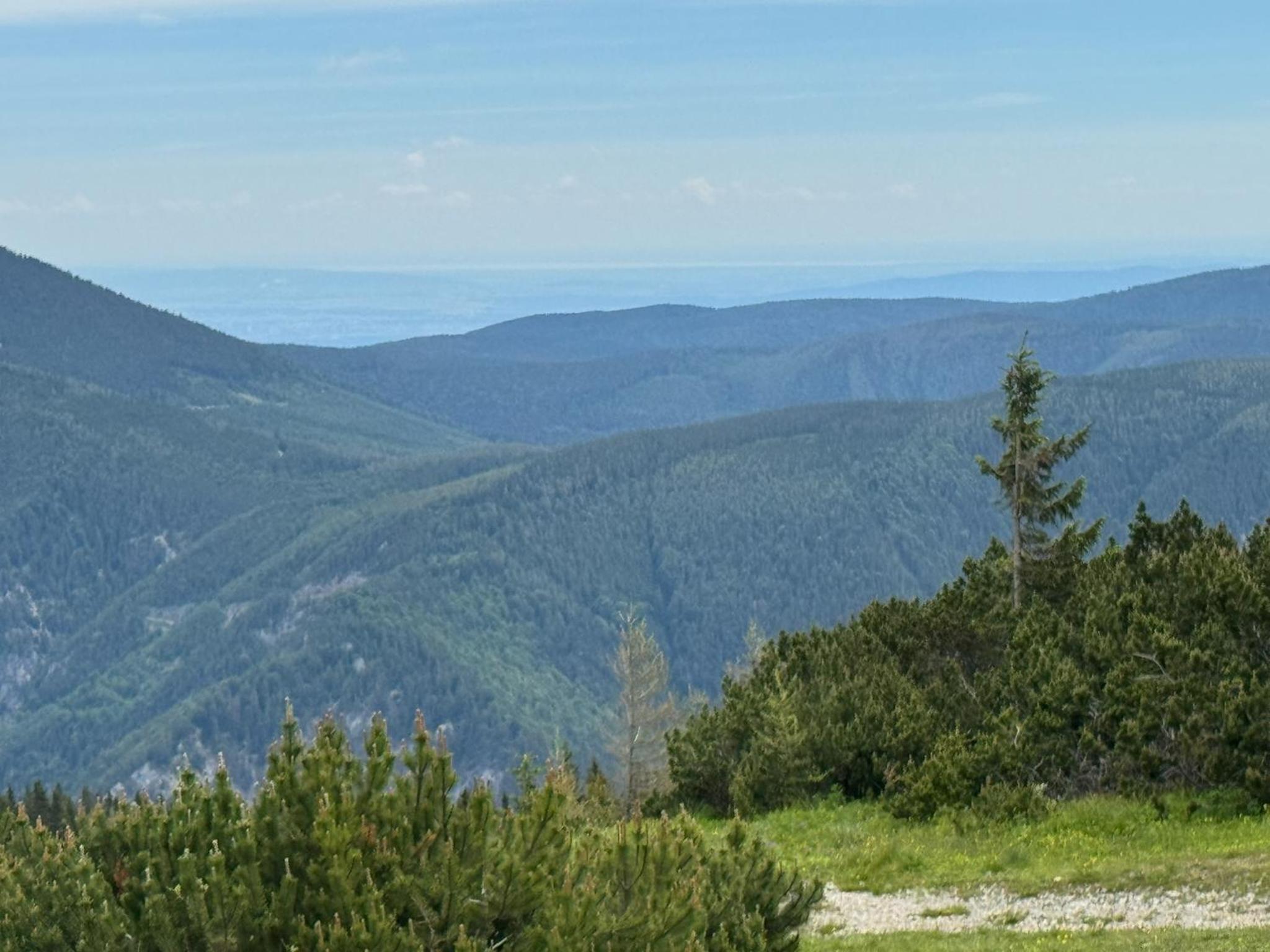 Wild Glamping in the Vienna Alps