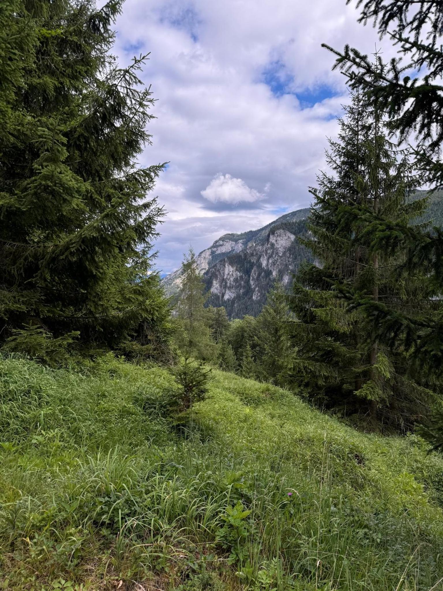 Wild Glamping in the Vienna Alps