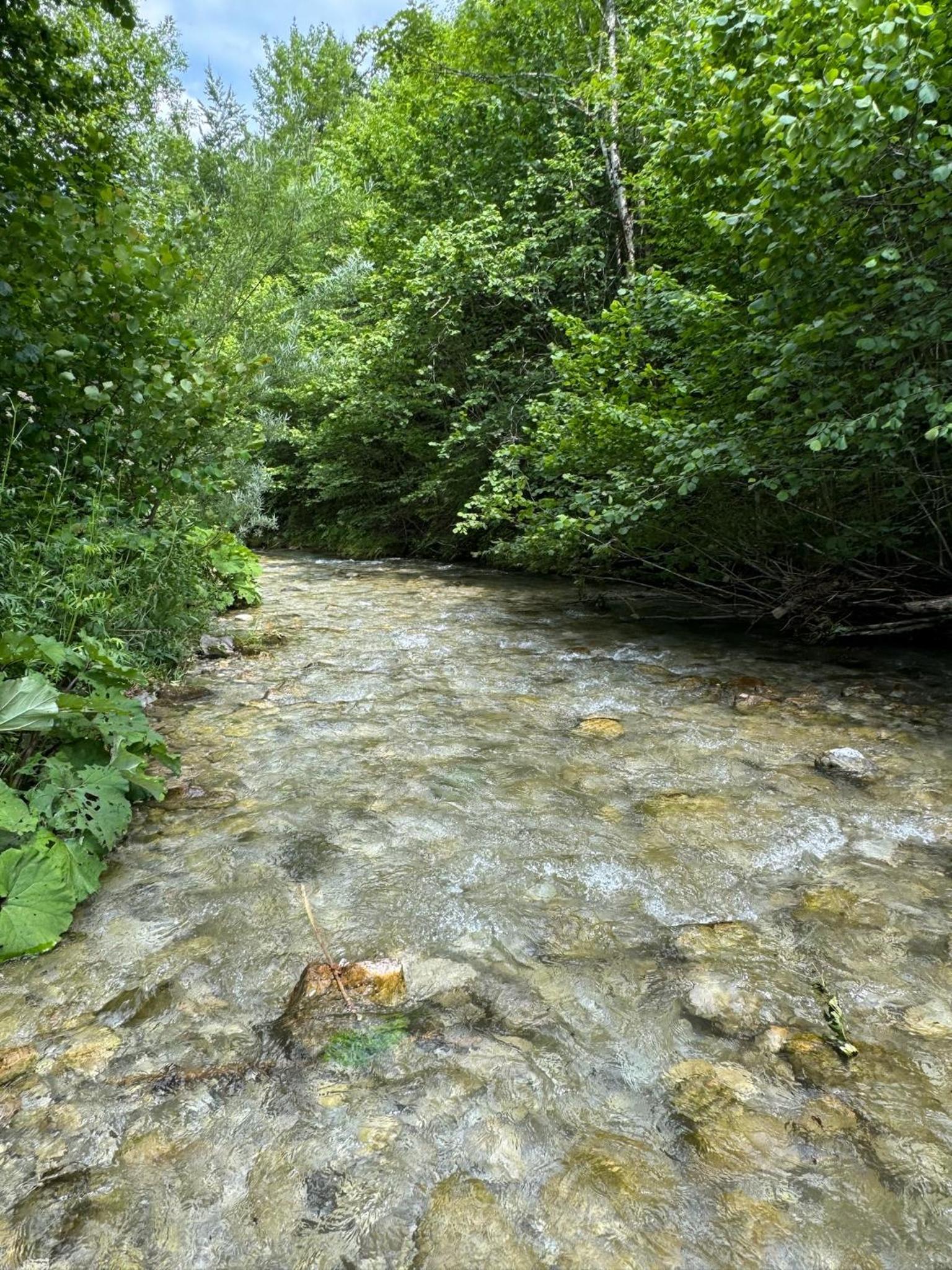 Wild Glamping in the Vienna Alps