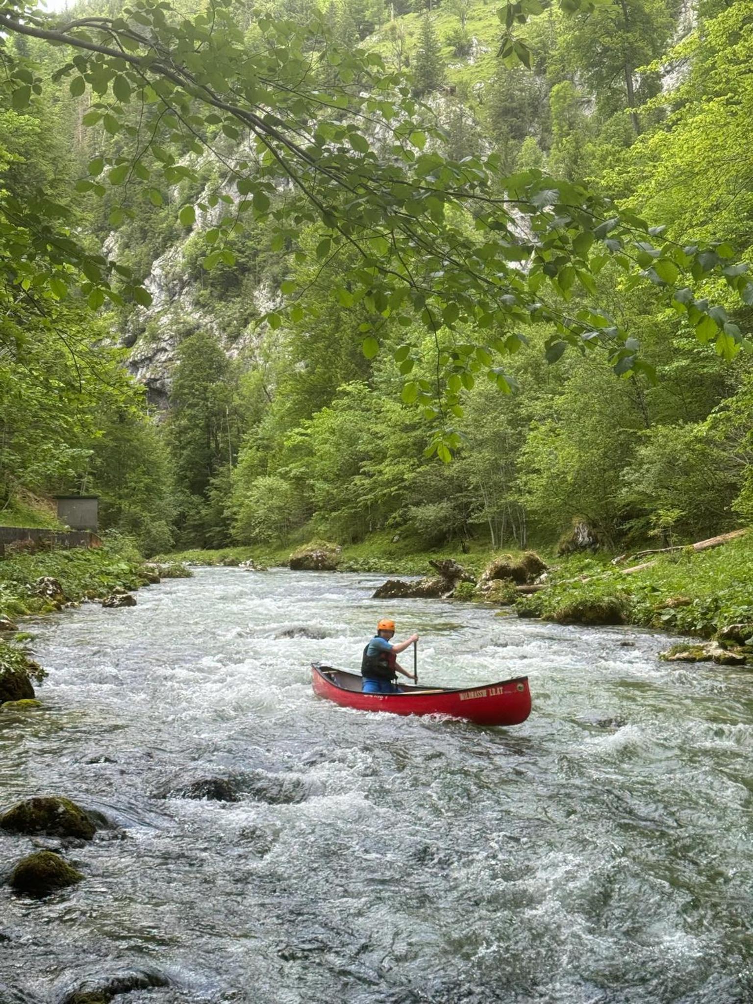 Wild Glamping in the Vienna Alps