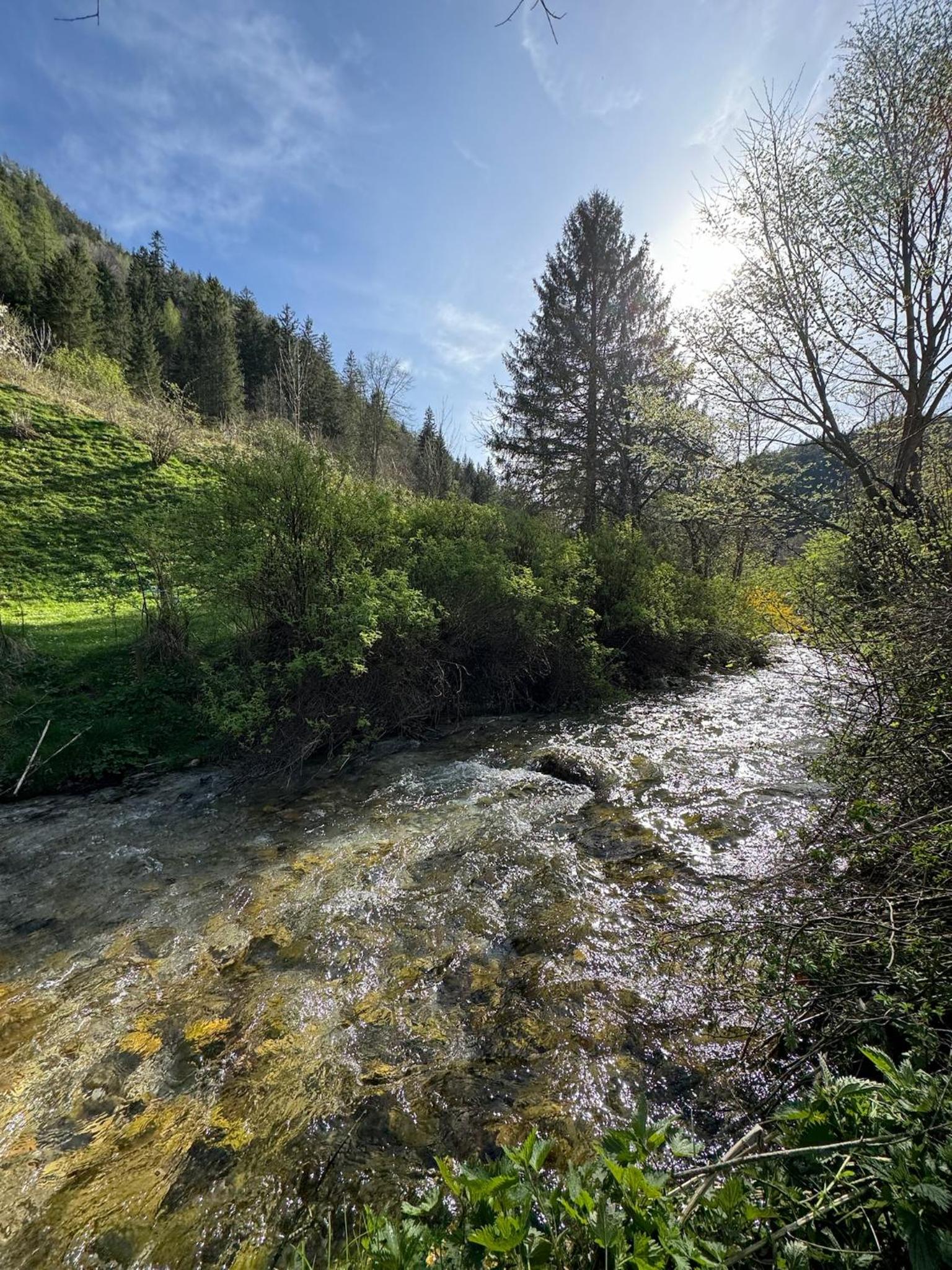 Wild Glamping in the Vienna Alps