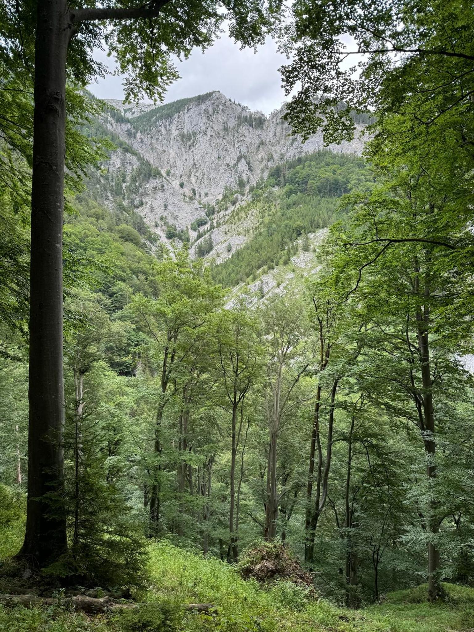 Wild Glamping in the Vienna Alps