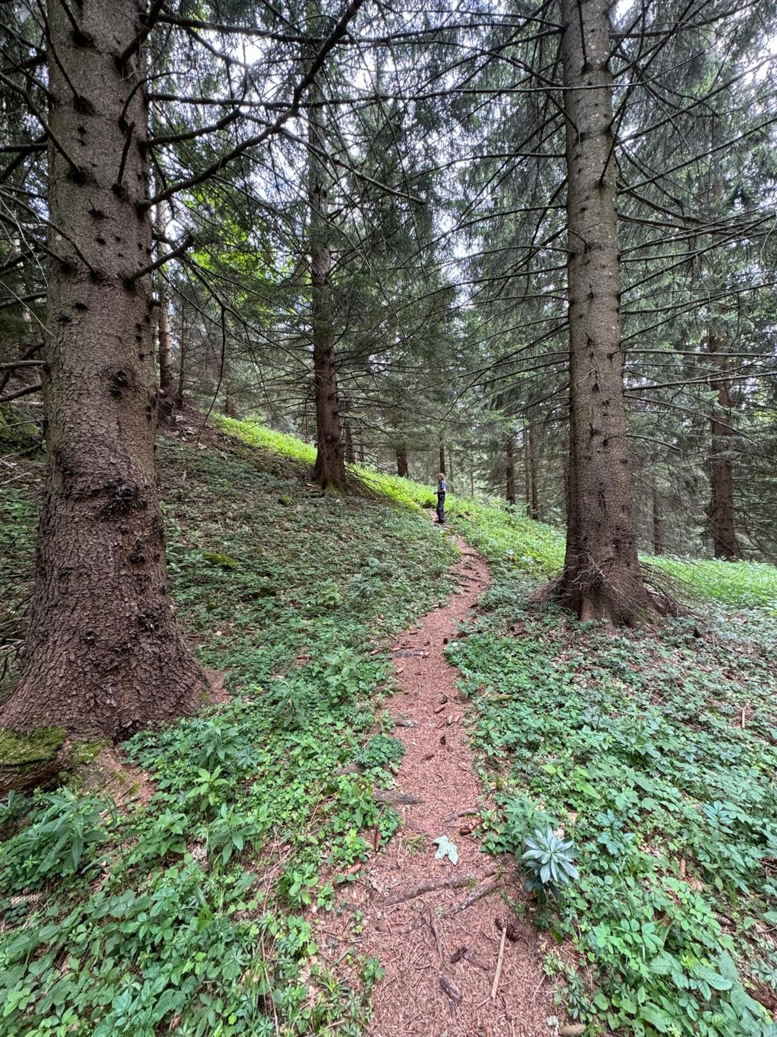 Wild Glamping in the Vienna Alps
