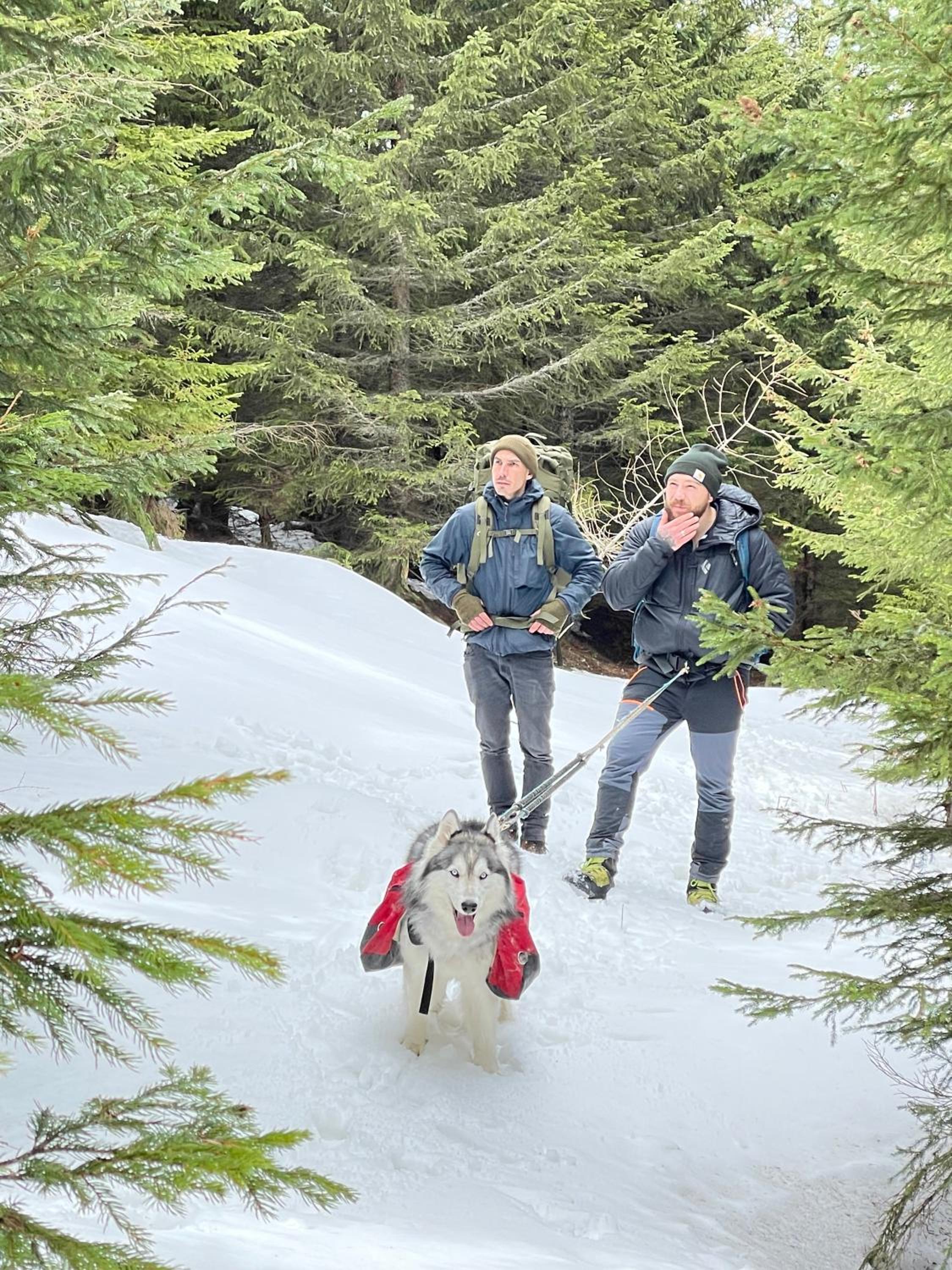 Wild Glamping in the Vienna Alps
