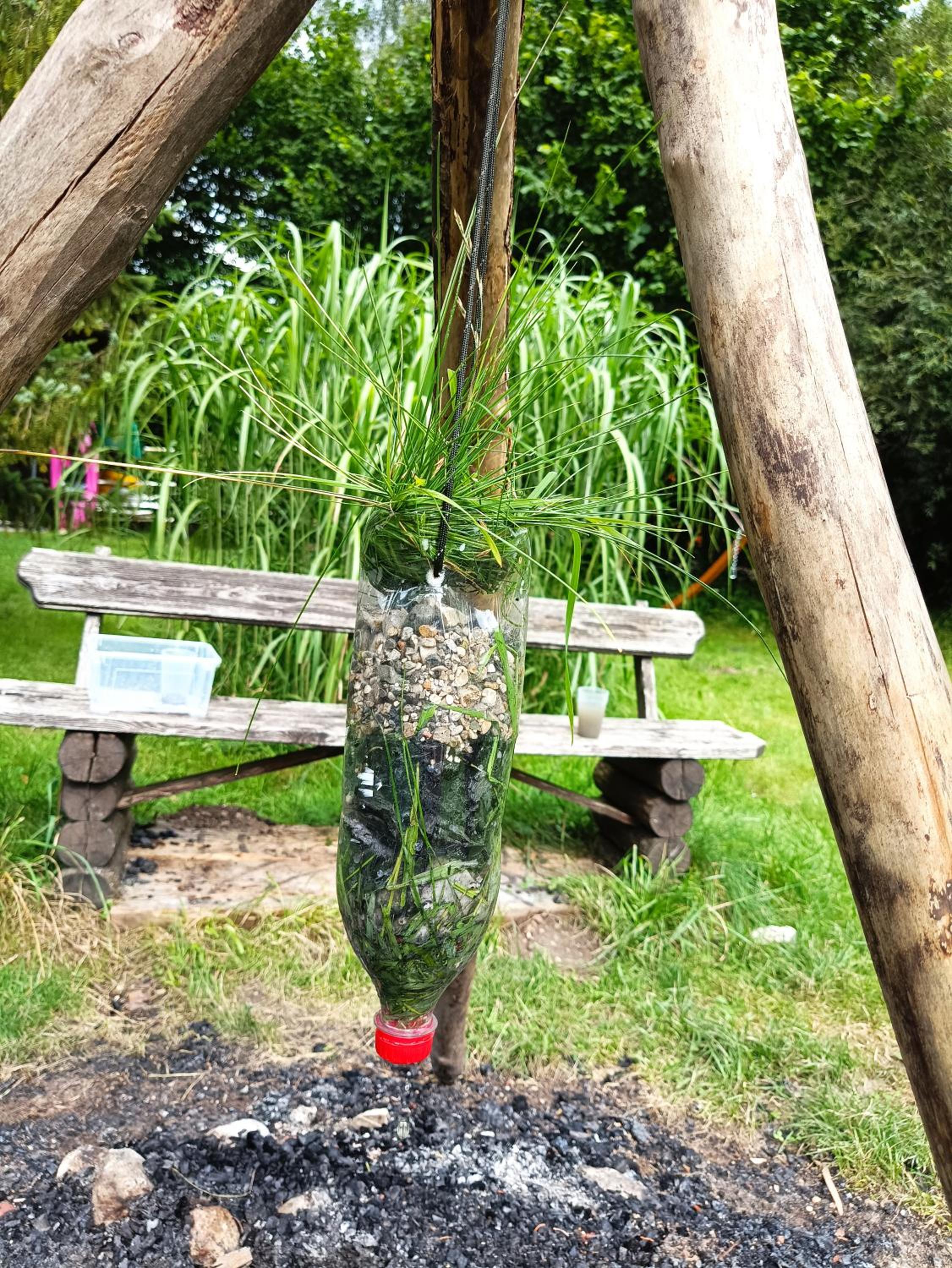 Wild Glamping in the Vienna Alps