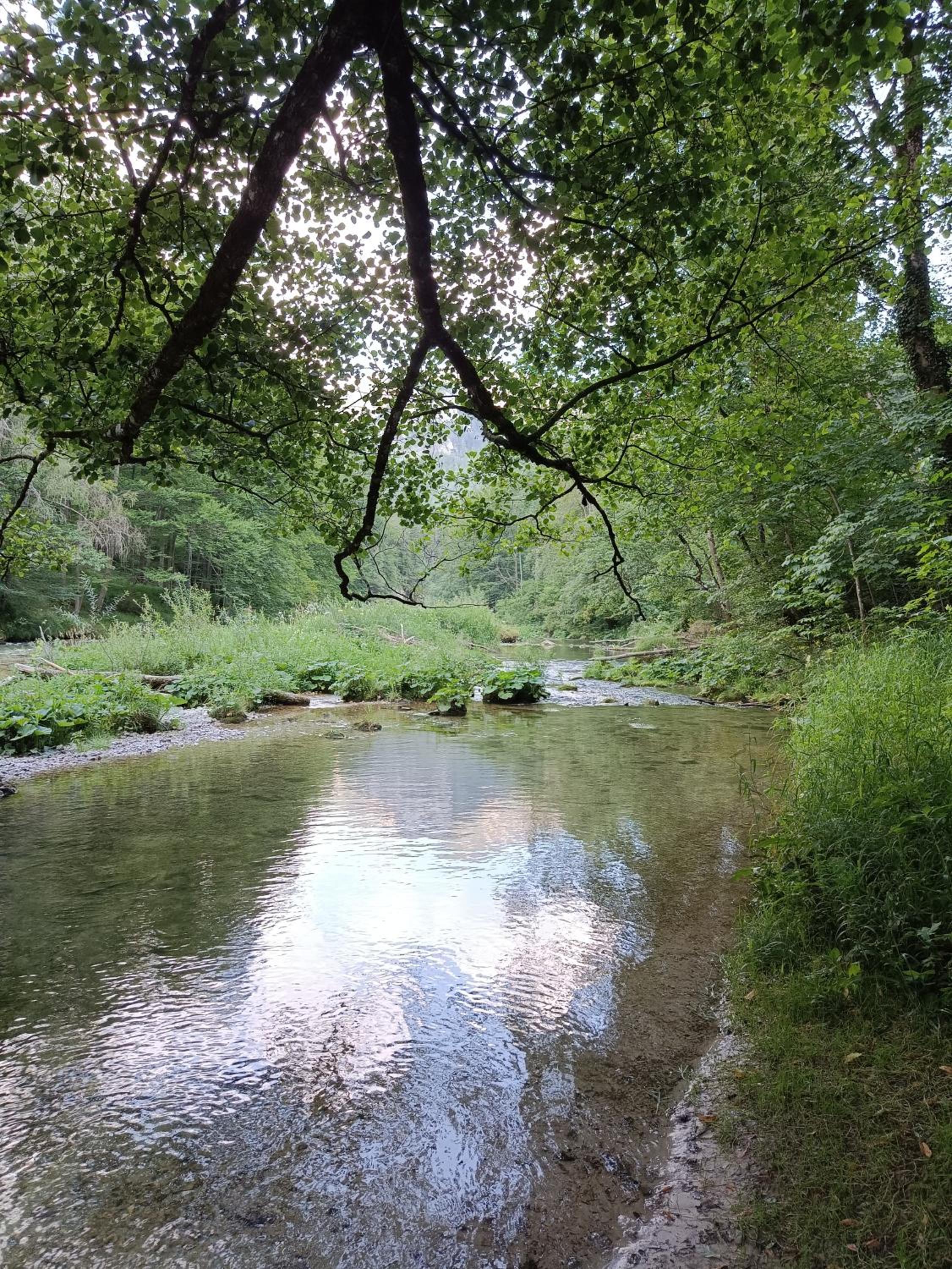 Wild Glamping in the Vienna Alps