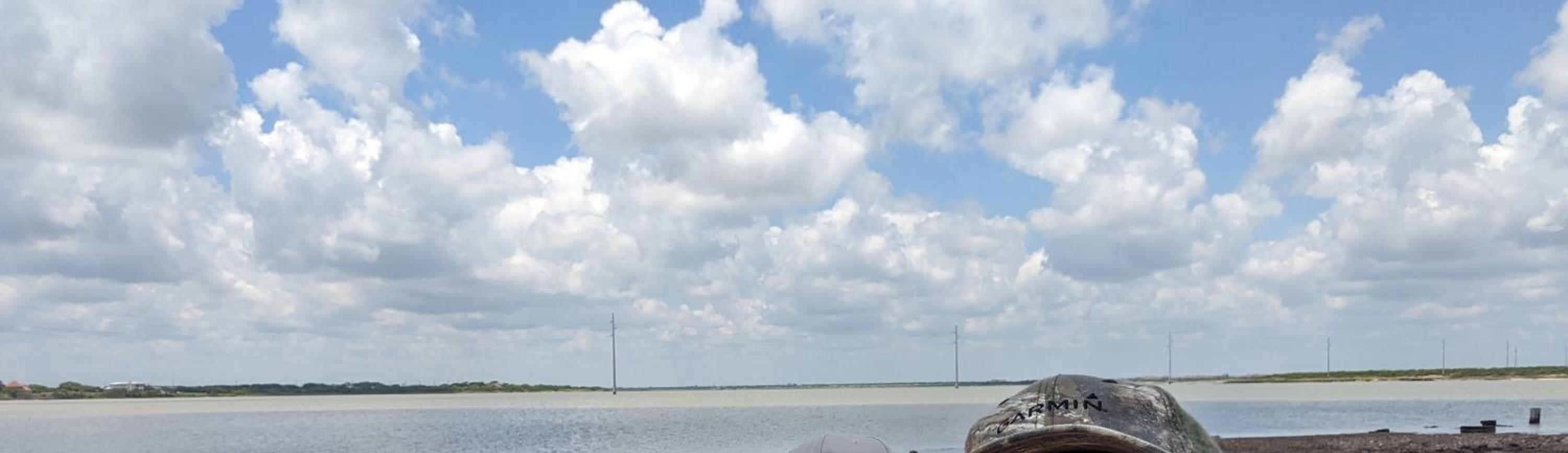 Corpus C Quiet Studio near Laguna Madre
