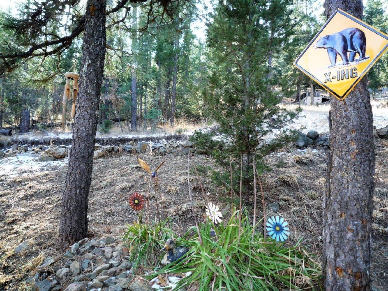 Bear Creek Cabin view 5