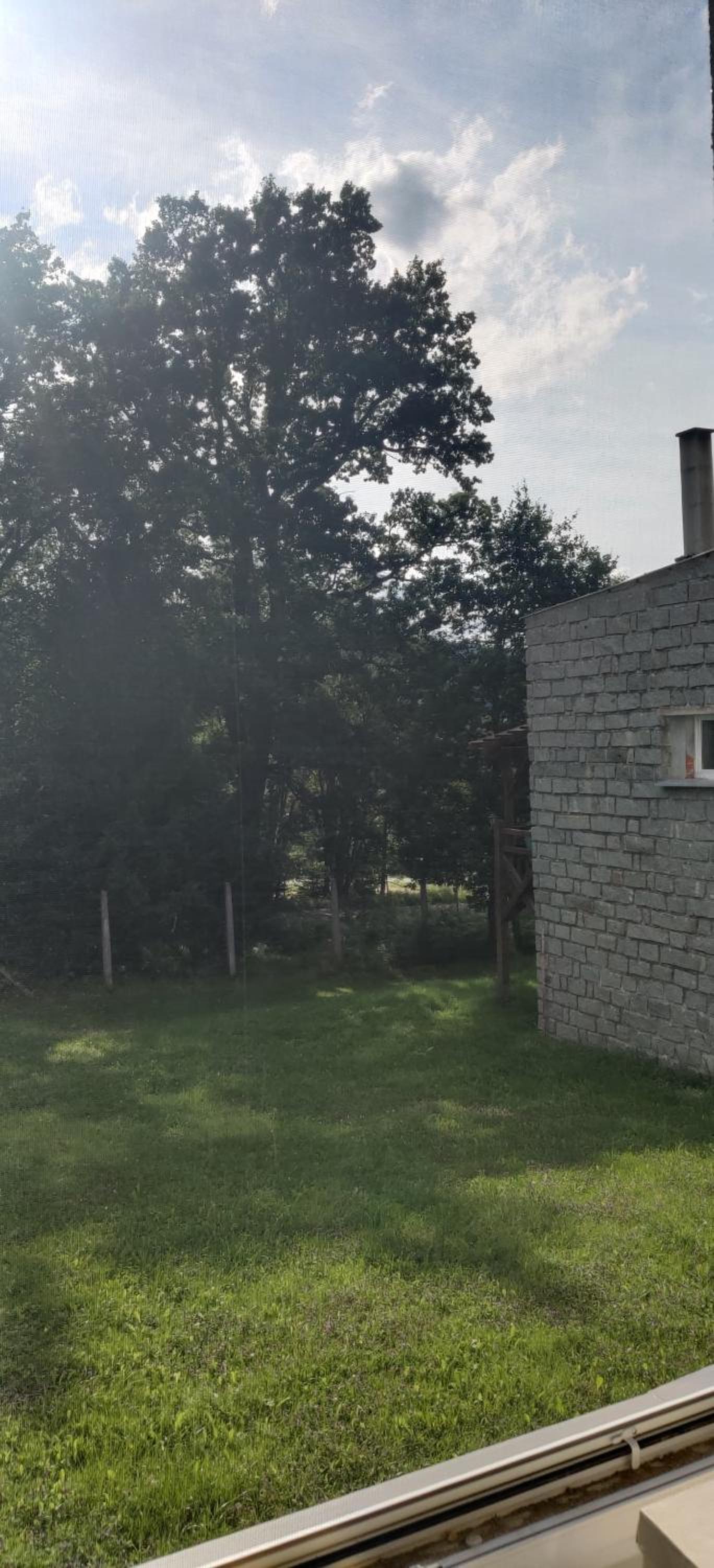 Rodinný Apartmán U Pralesa