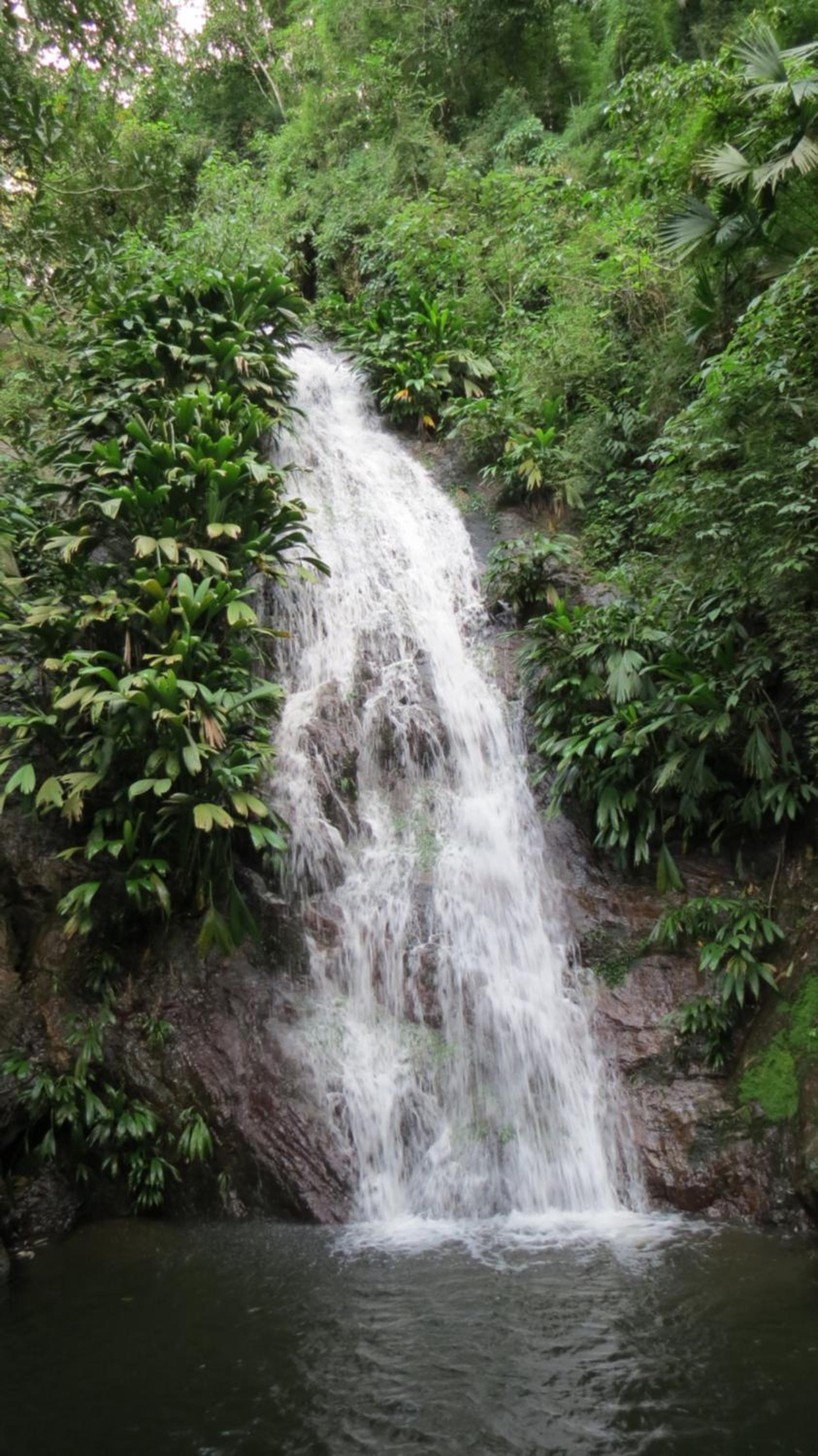 Cascada escondida glamping