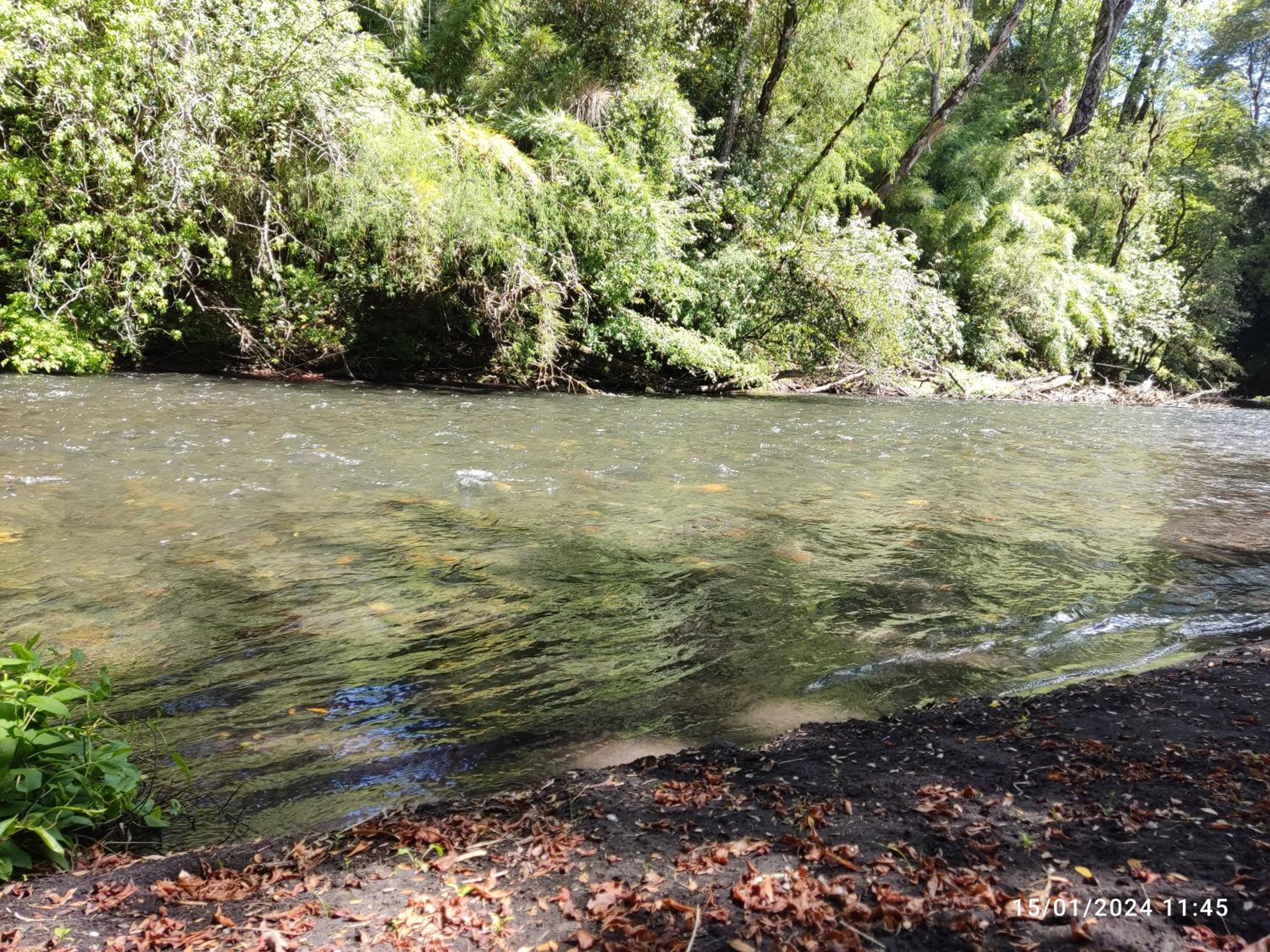 Villarrica Borde Río