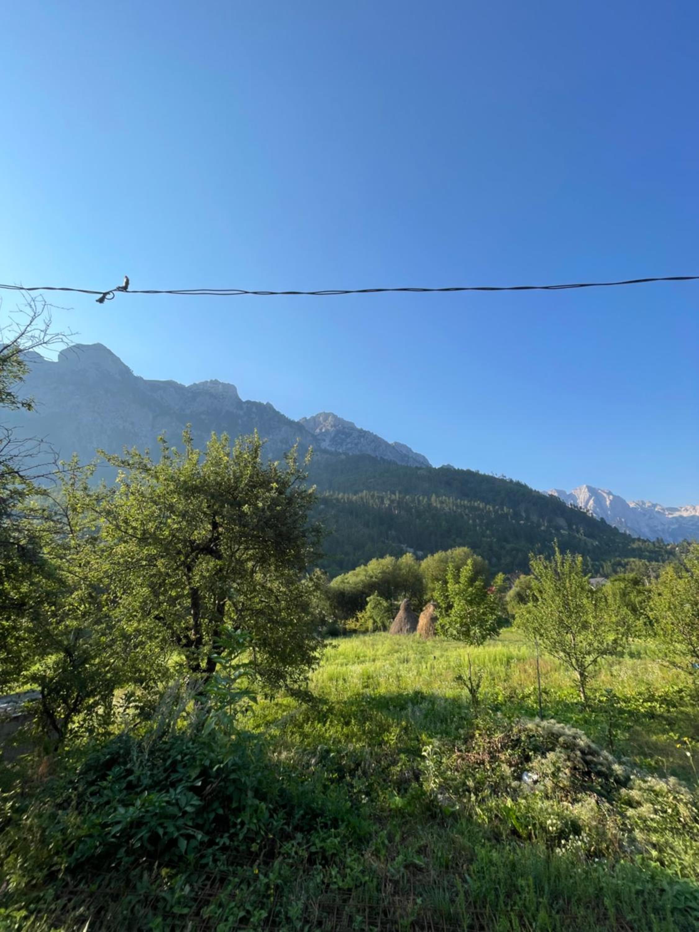 other