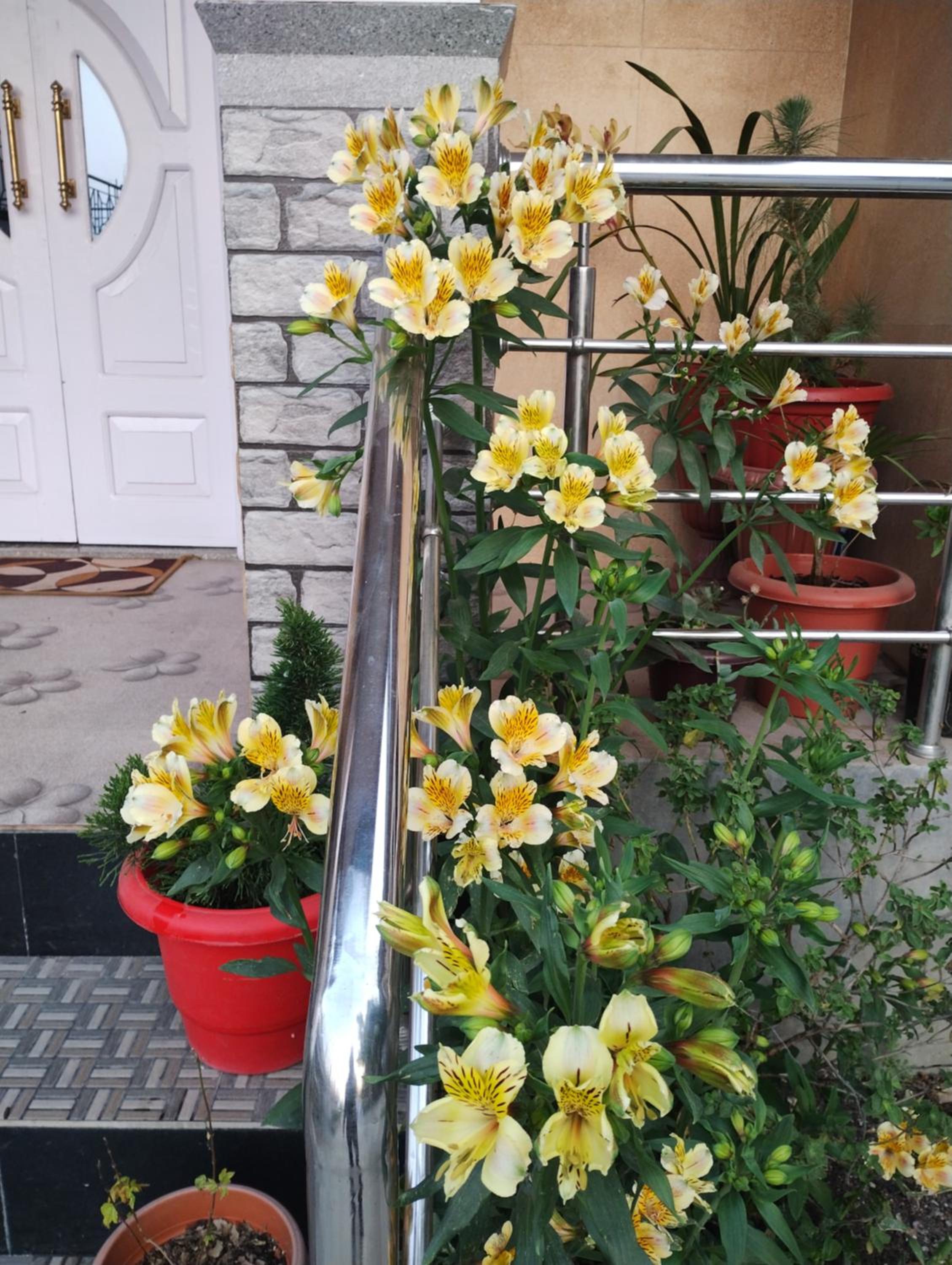 Photo 16